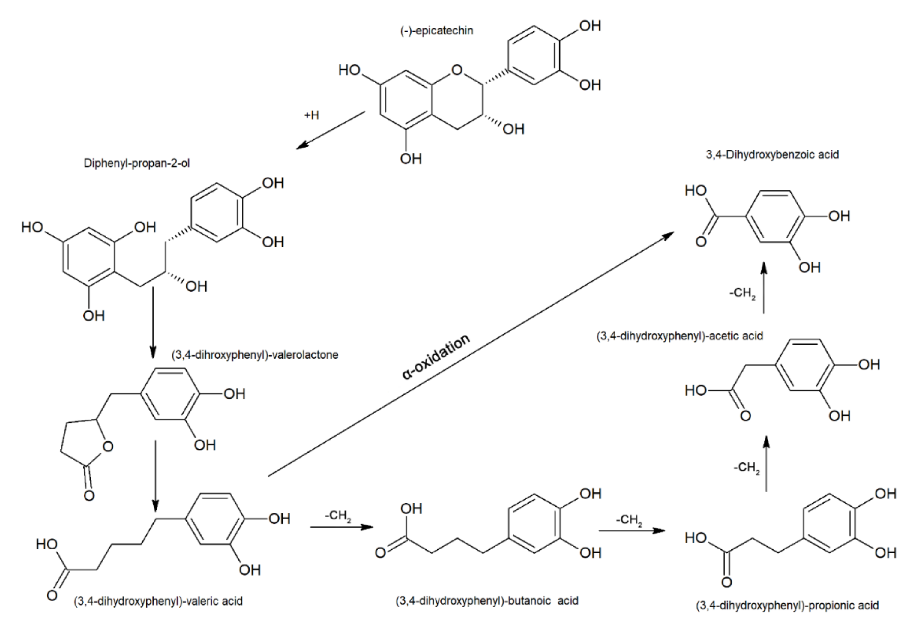 Microorganisms 09 00965 g004