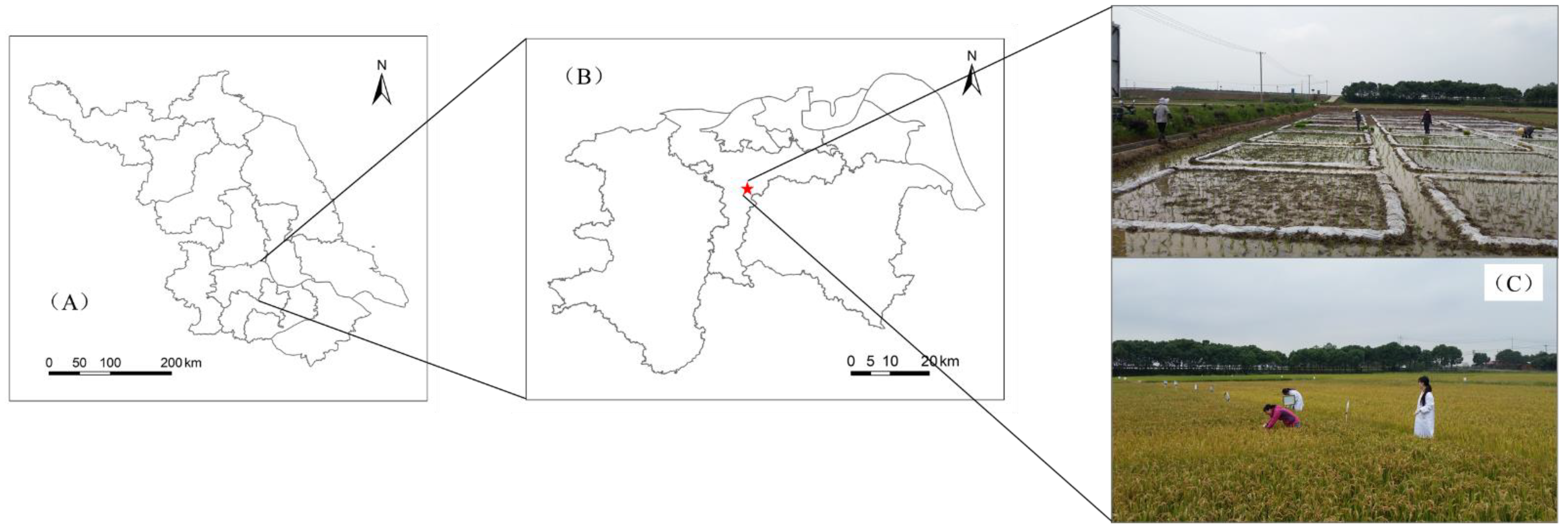 Microorganisms 09 00988 g001 Microorganisms 09 00988 g001