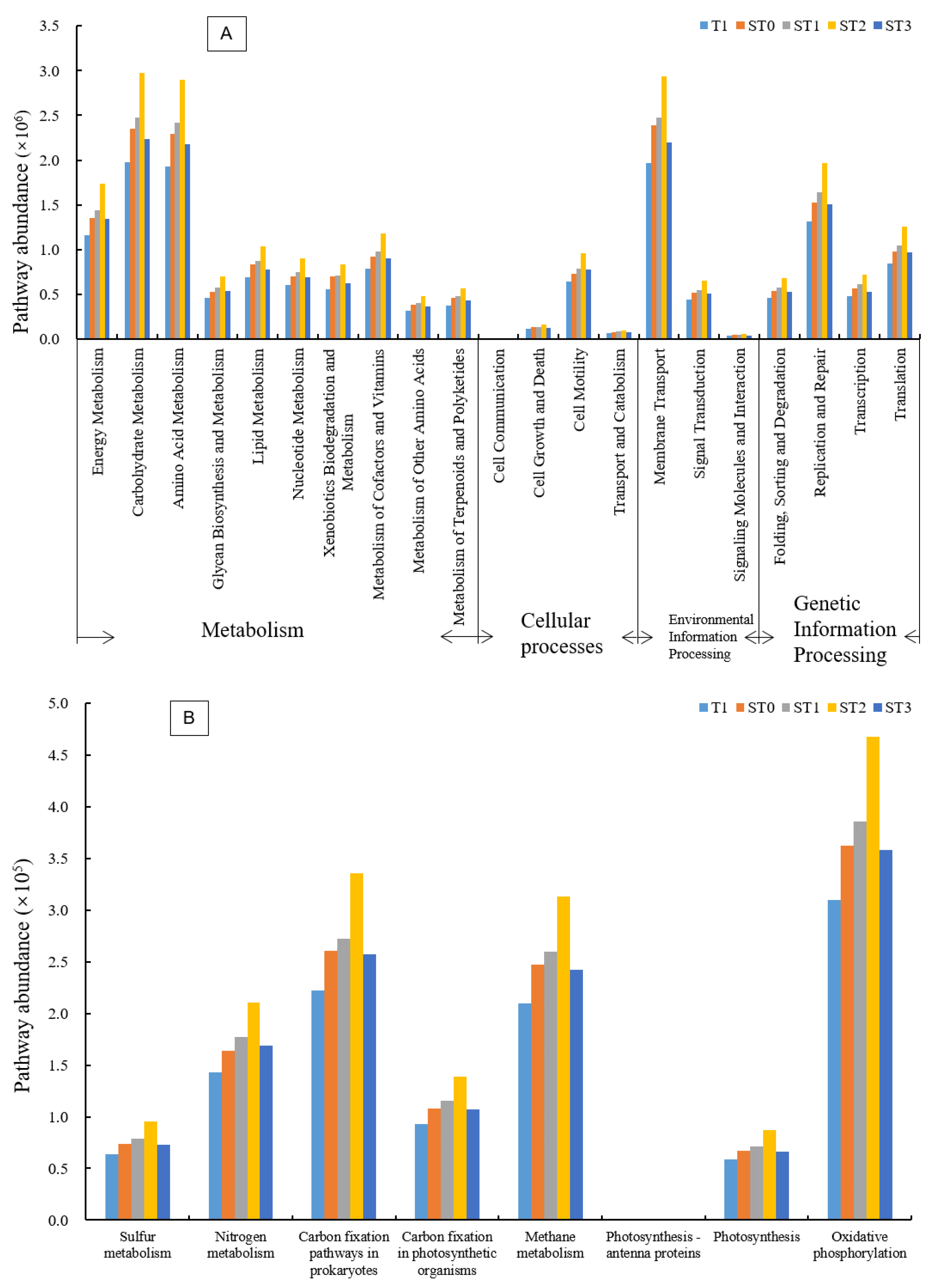 Microorganisms 09 00988 g004 Microorganisms 09 00988 g004