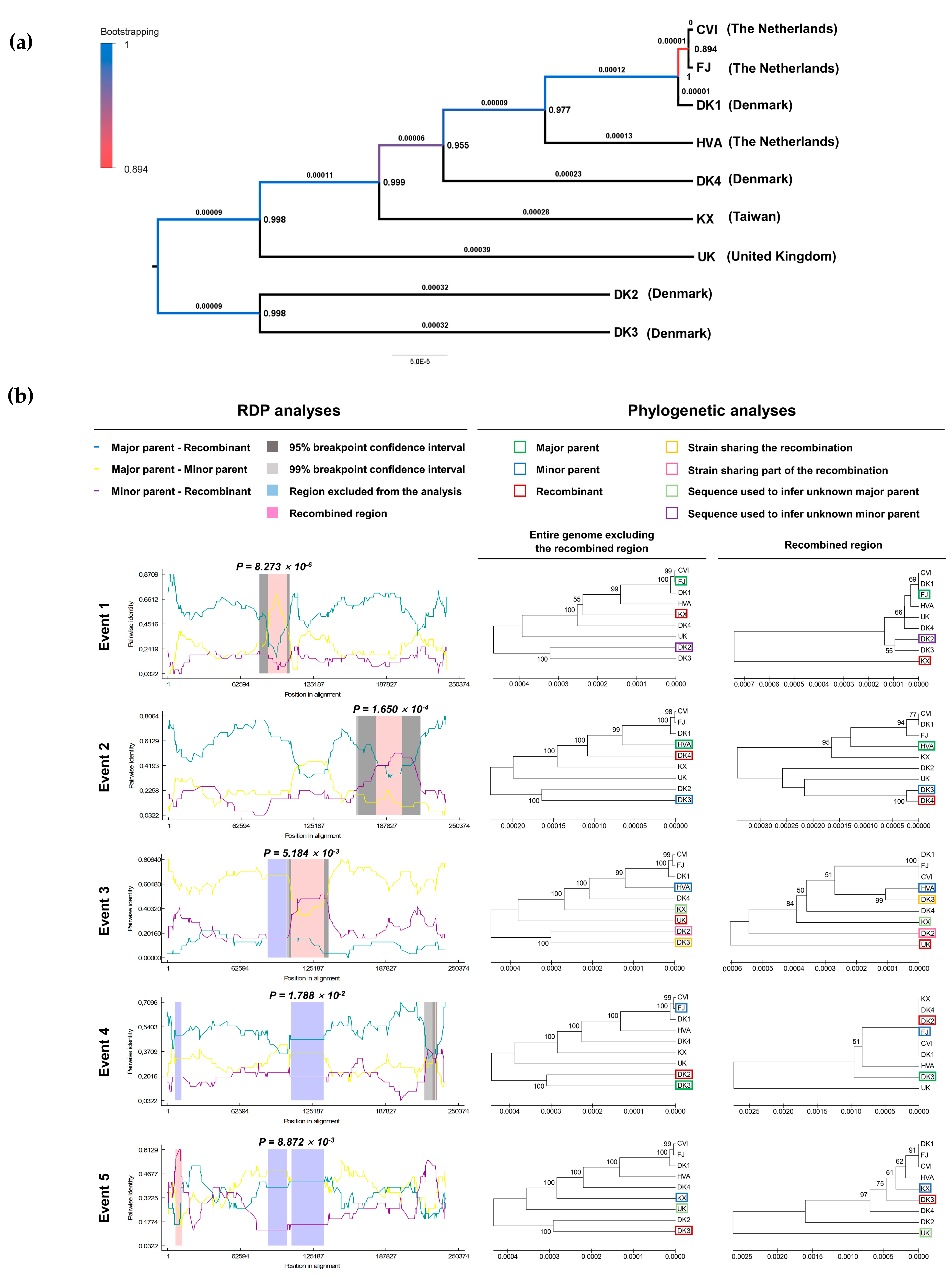 Microorganisms 09 00998 g001