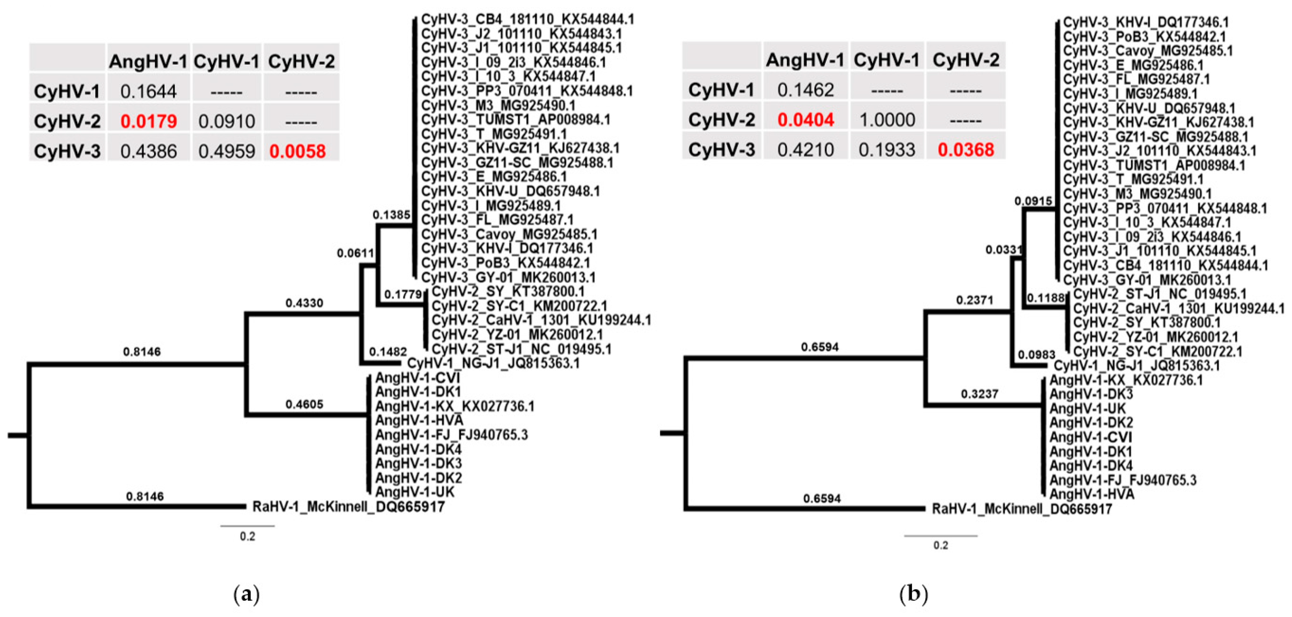 Microorganisms 09 00998 g004