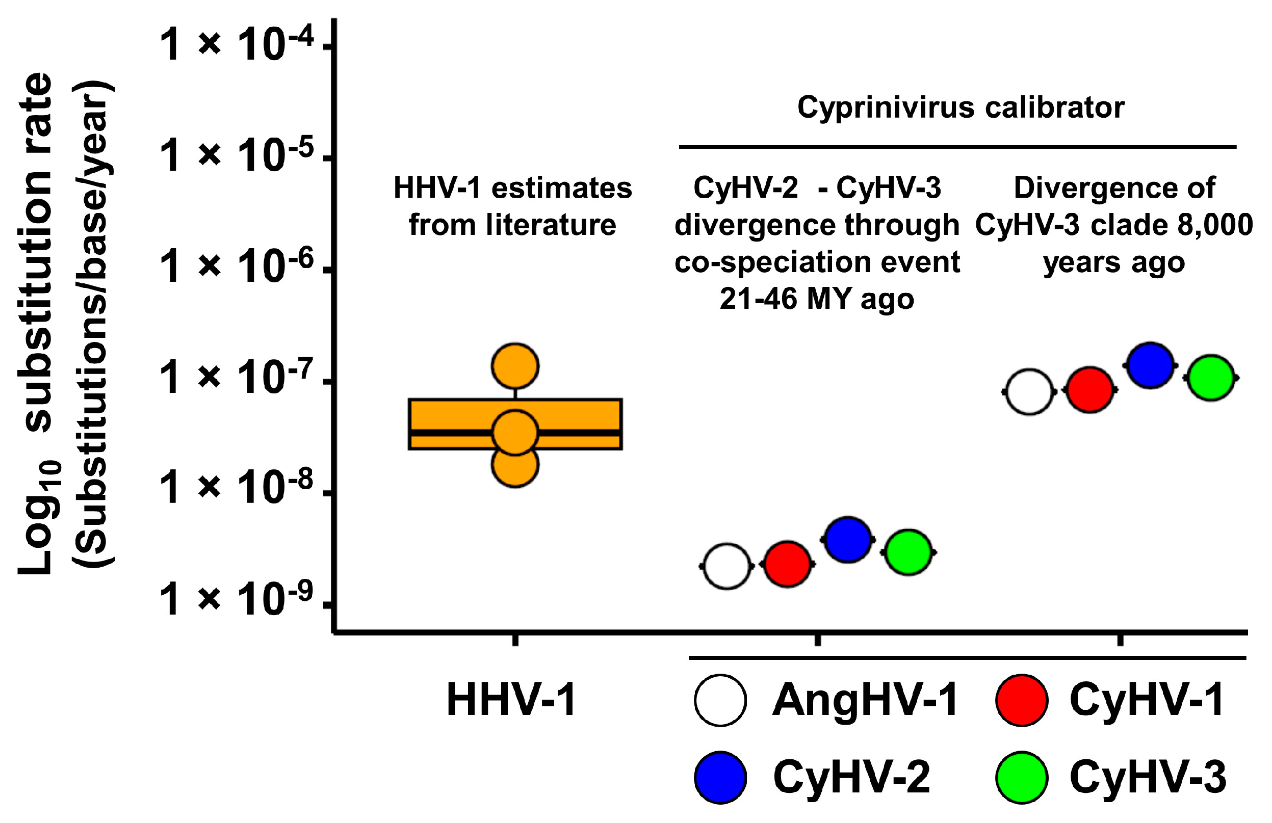 Microorganisms 09 00998 g006