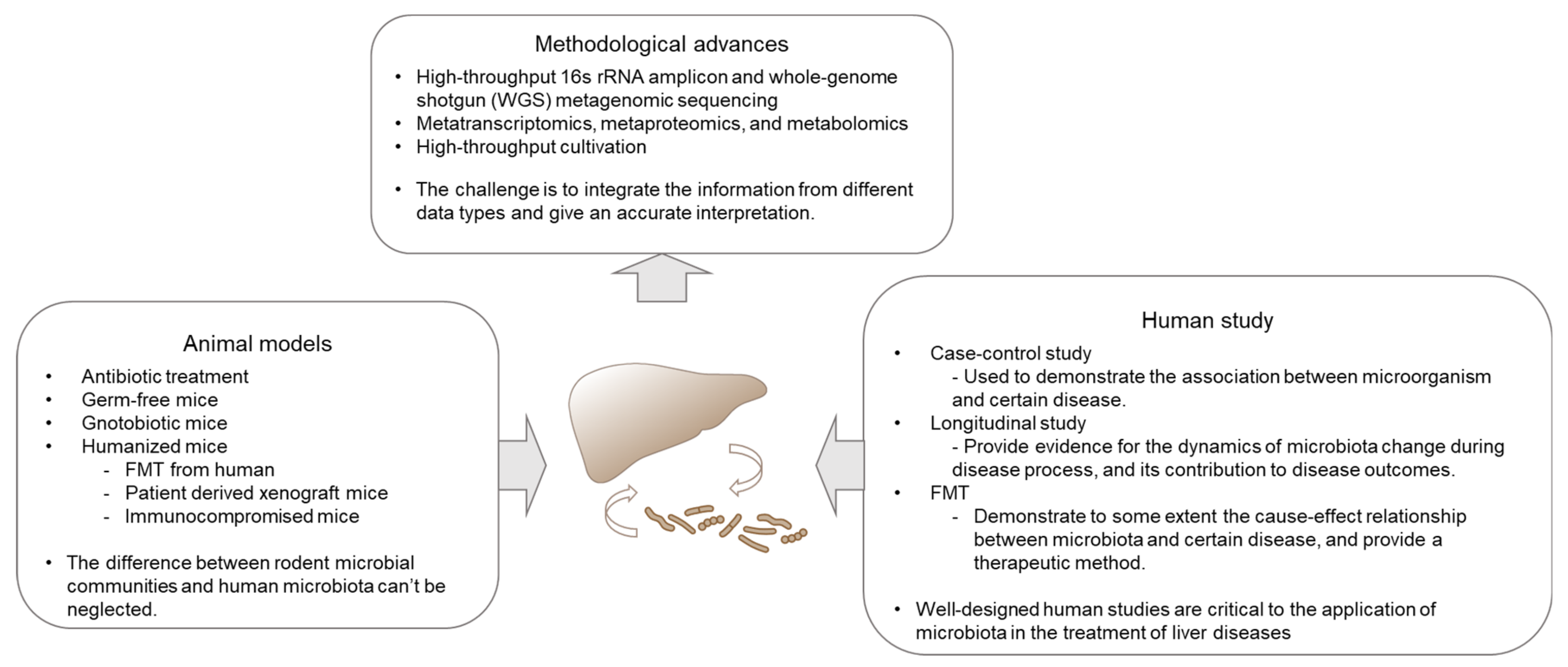 Microorganisms | Free Full-Text | Human Gut Microbiome and Liver Diseases:  From Correlation to Causation | HTML