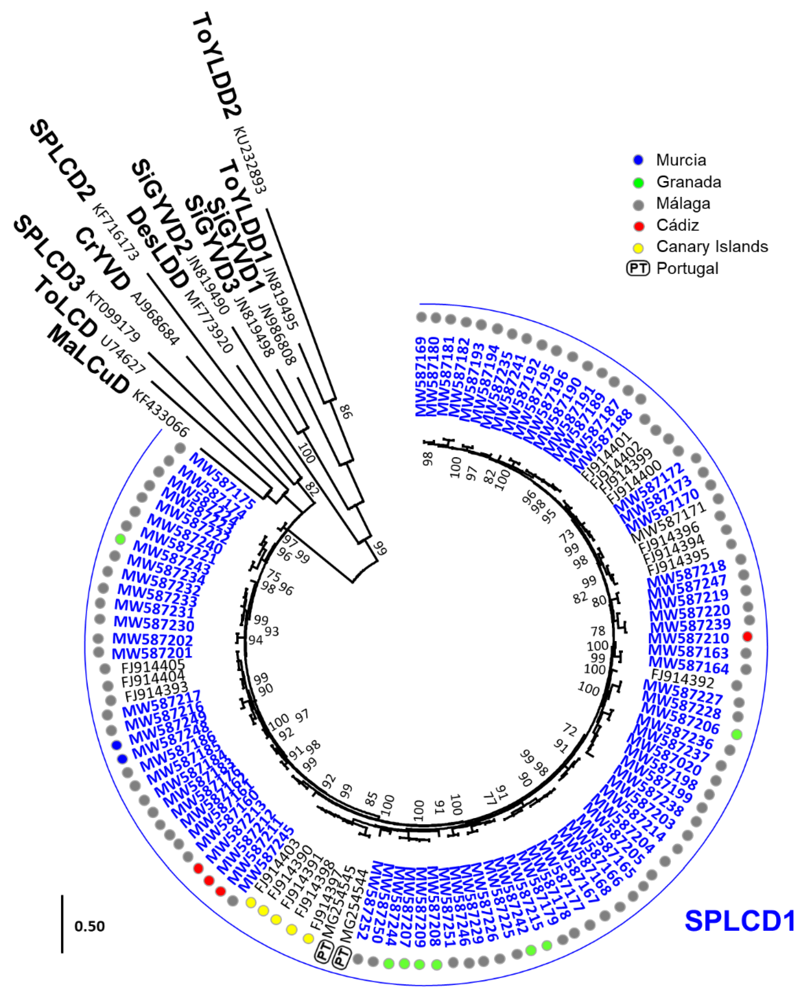 Microorganisms | Free Full-Text | Revealing the Complexity of  Sweepovirus-Deltasatellite–Plant Host Interactions: Expanded Natural and  Experimental Helper Virus Range and Effect Dependence on Virus-Host  Combination