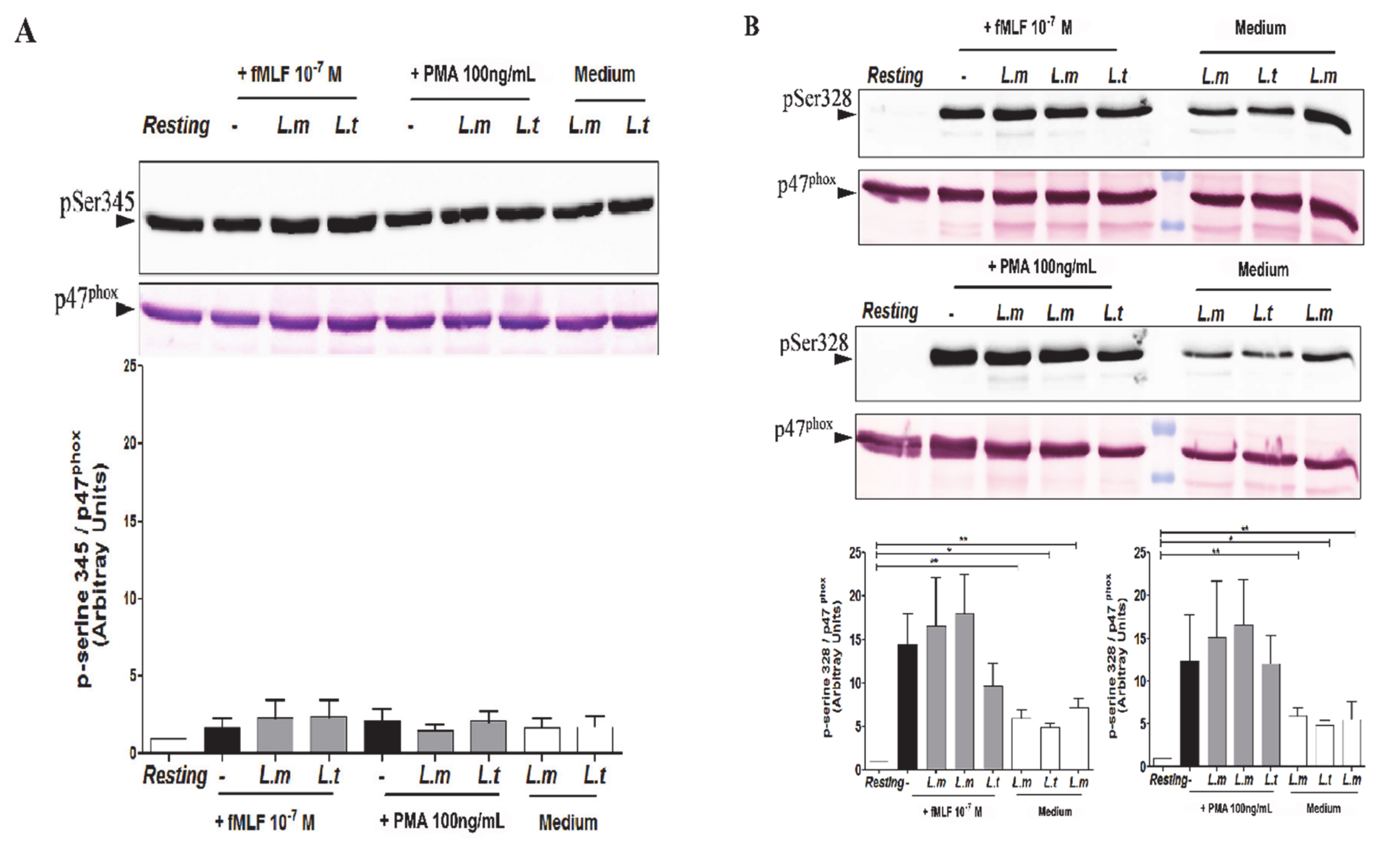 Microorganisms 09 01025 g005