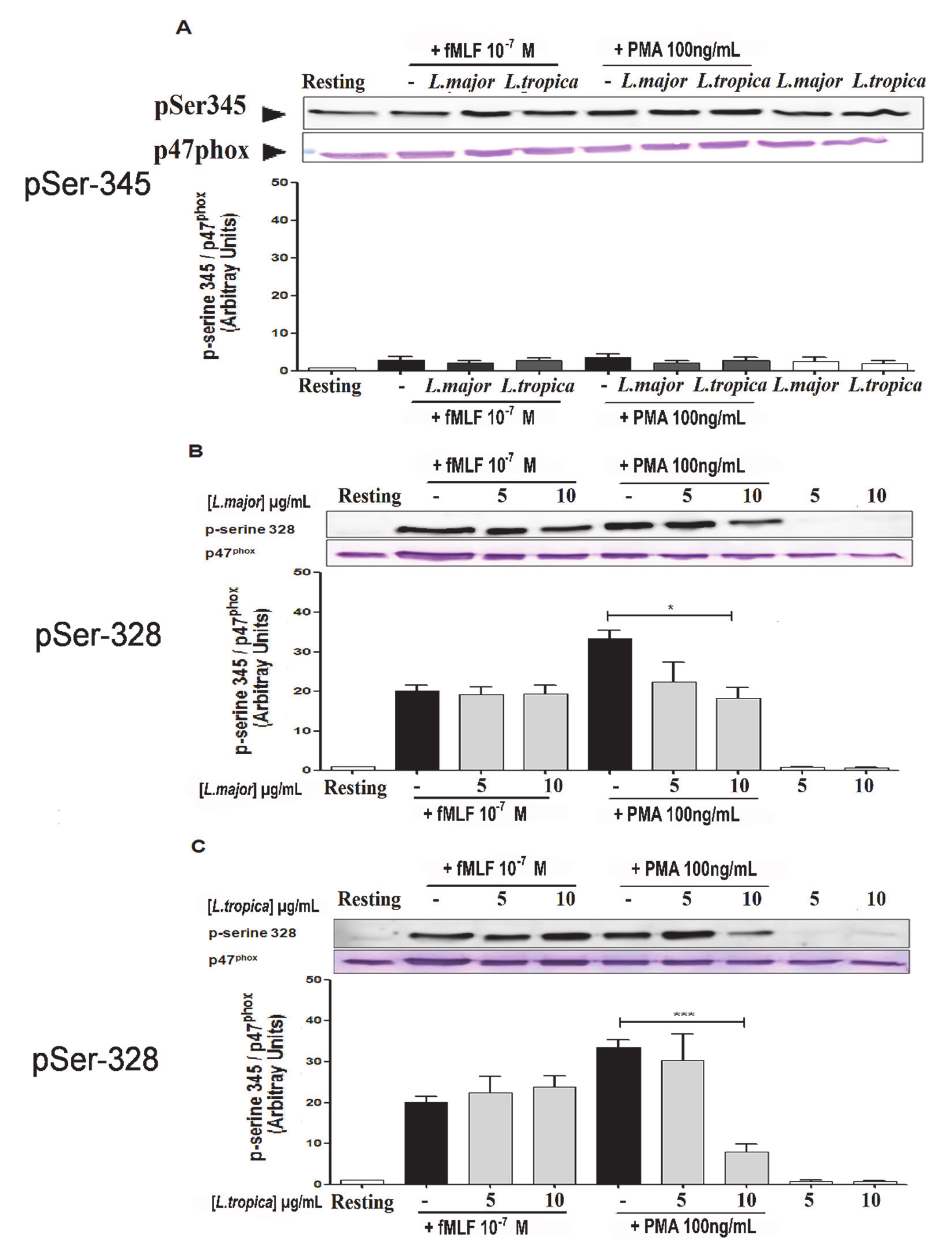 Microorganisms 09 01025 g006