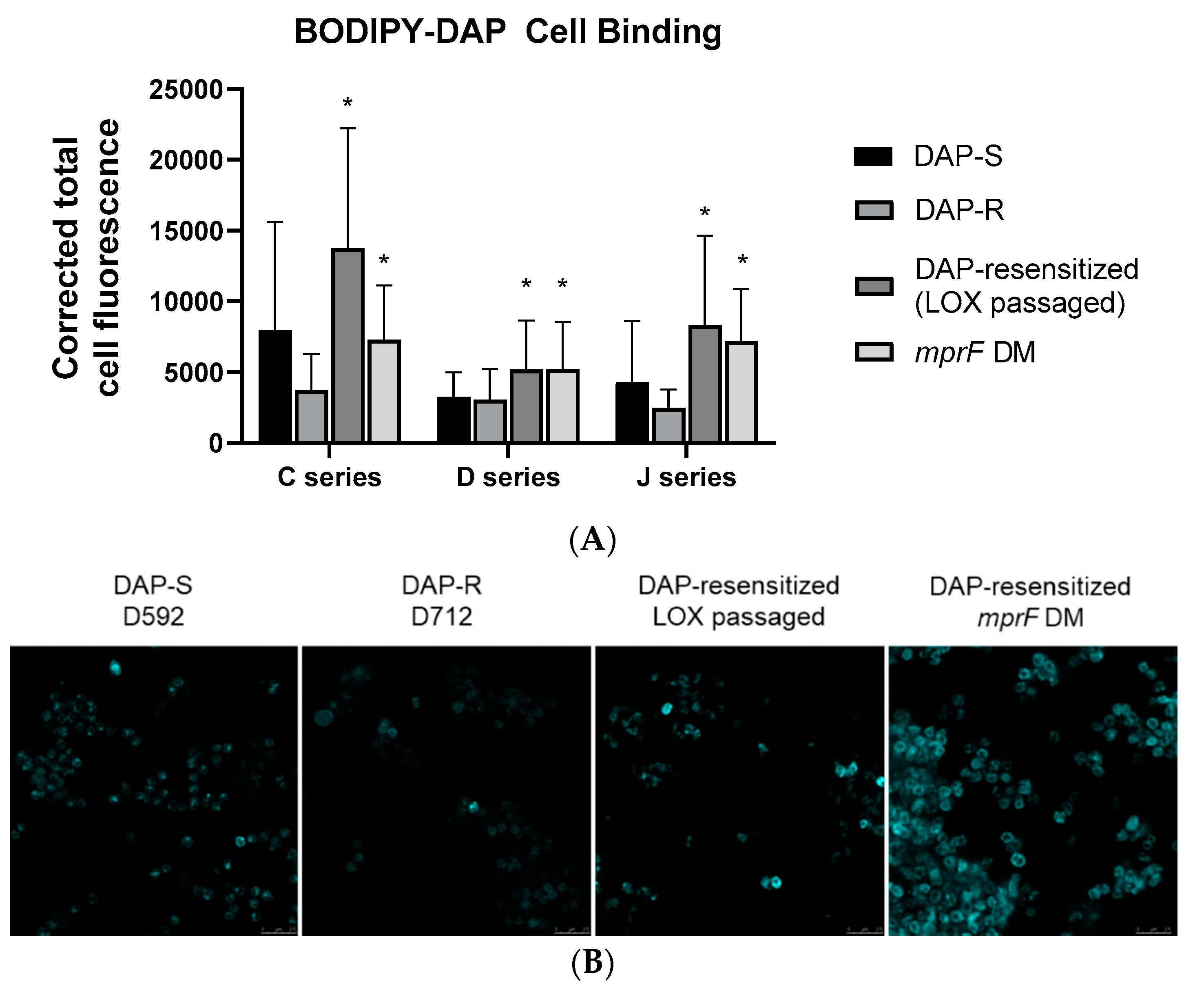 Microorganisms 09 01028 g001