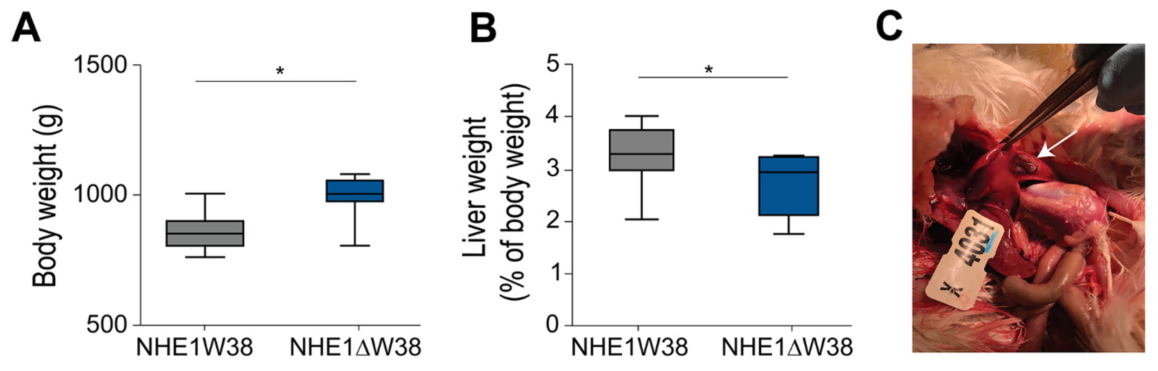 Microorganisms 09 01066 g002