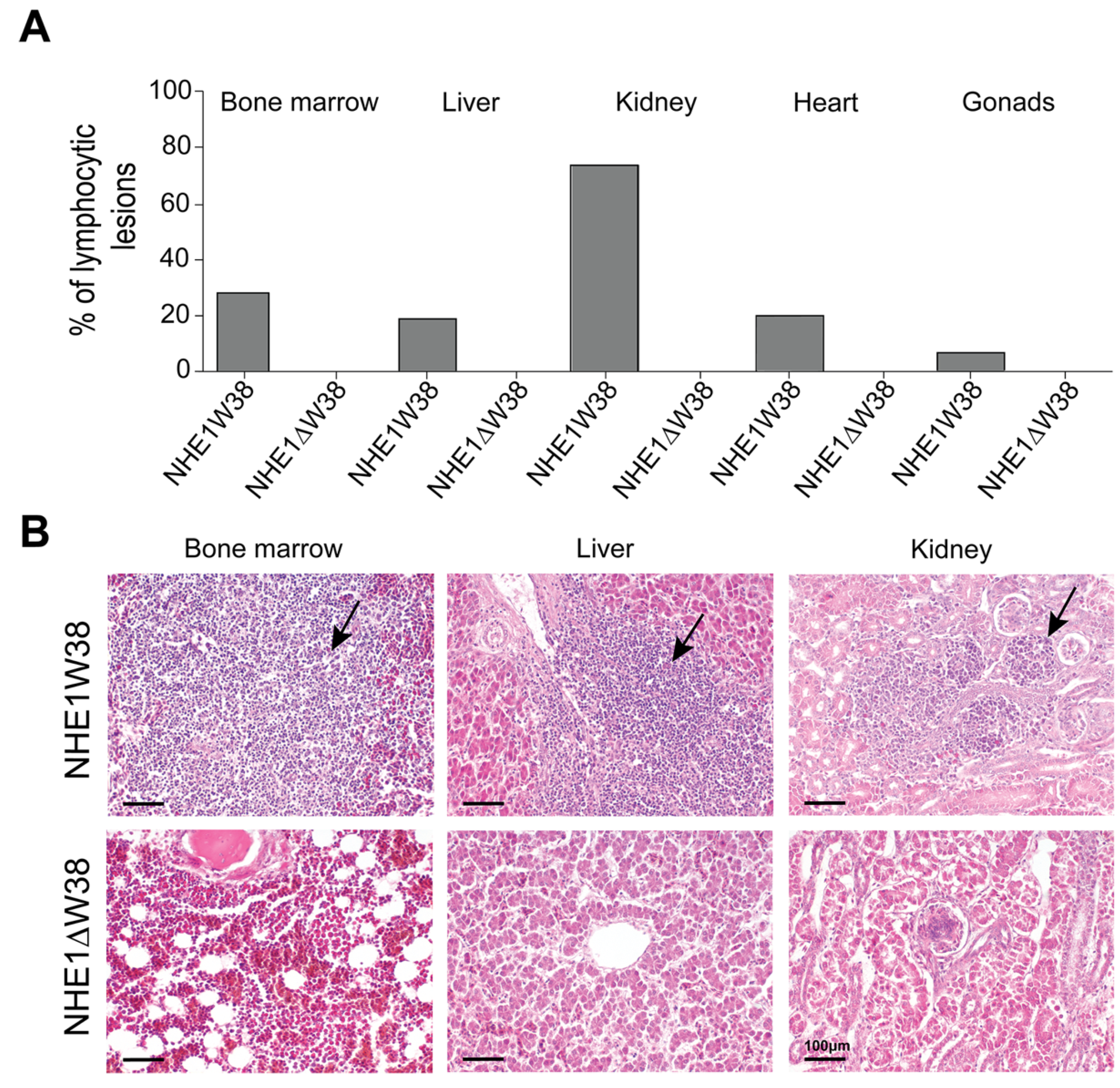 Microorganisms 09 01066 g003