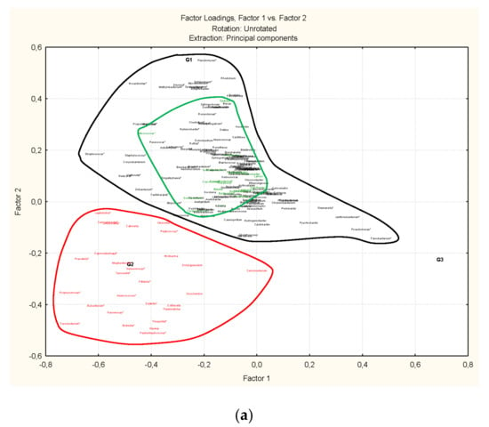 Microorganisms | Free Full-Text | Metagenomics Analysis Reveals an 