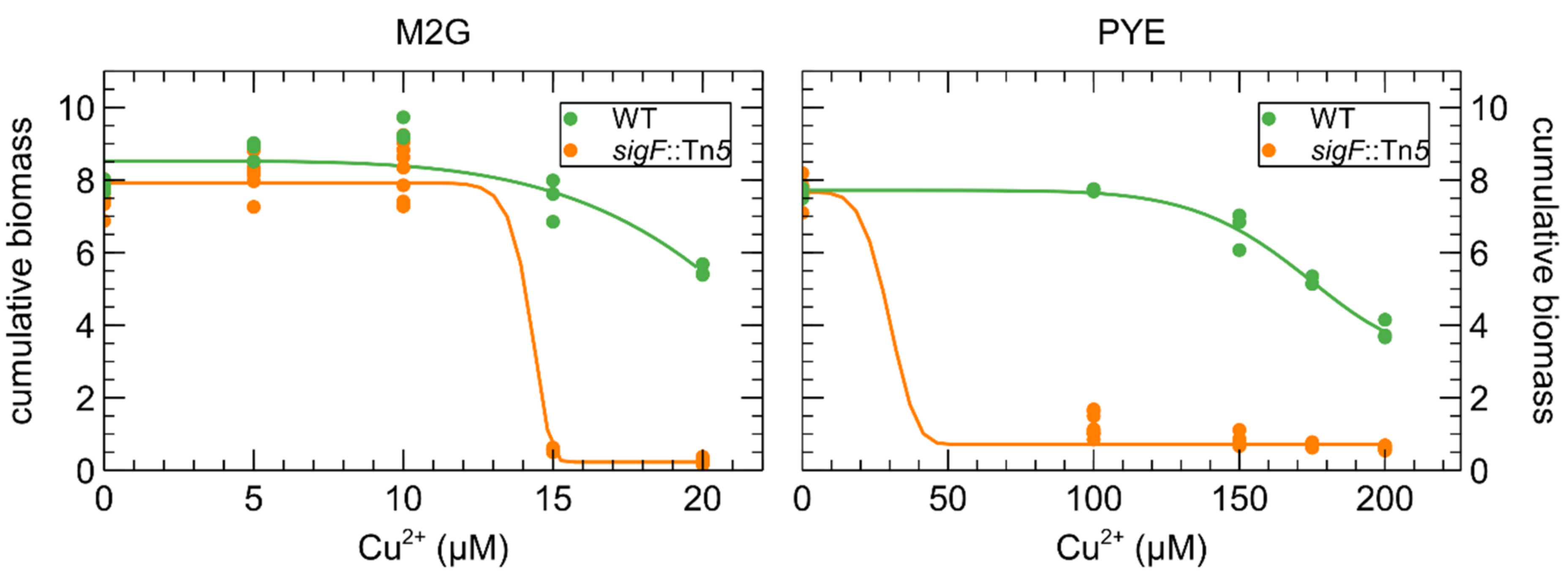 Microorganisms 09 01116 g006