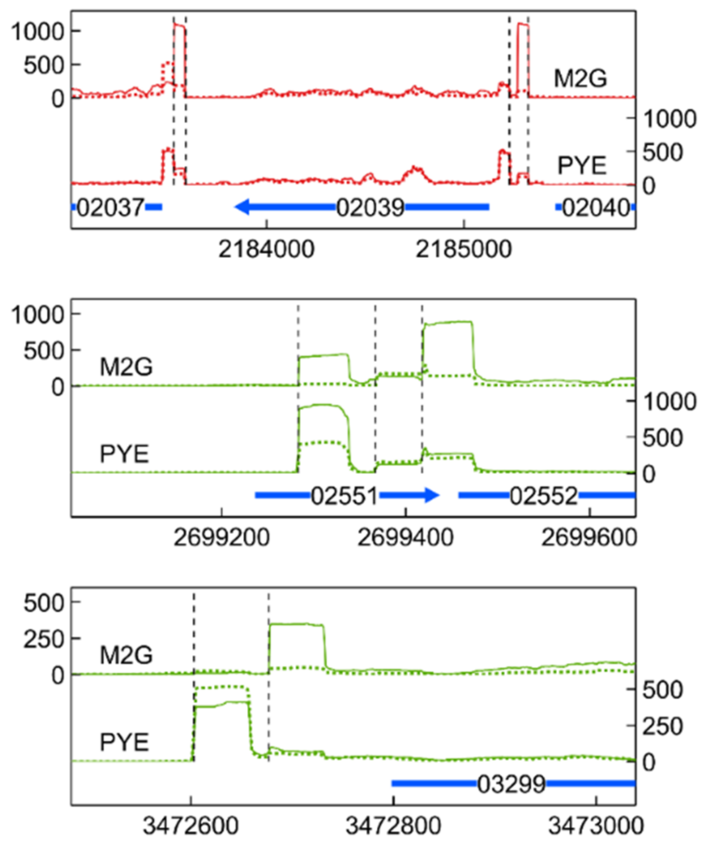Microorganisms 09 01116 g010