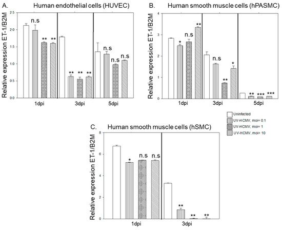 Microorganisms Free Full Text Human Cytomegalovirus Reduces Endothelin 1 Expression In Both Endothelial And Vascular Smooth Muscle Cells Html