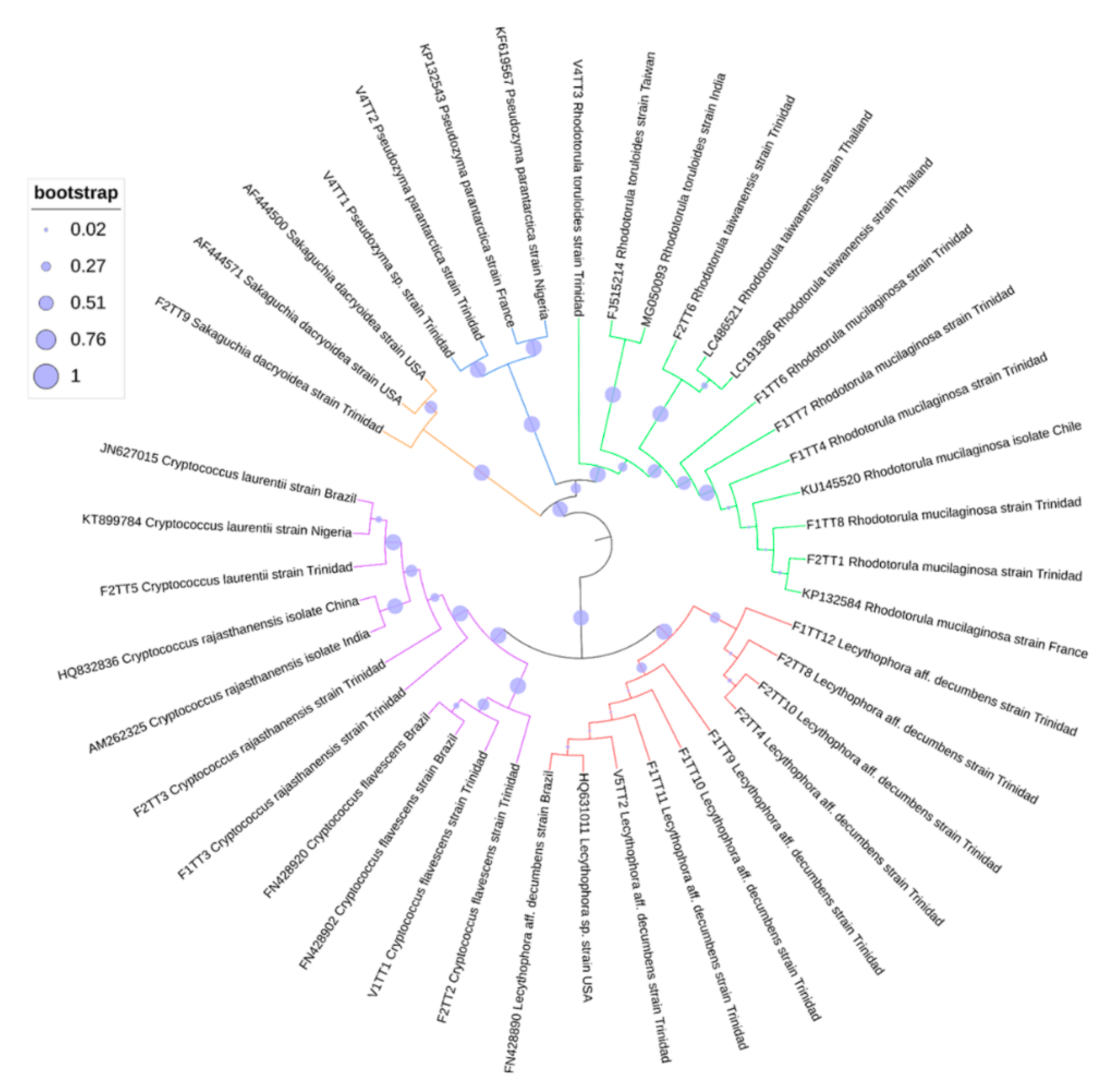 Microorganisms 09 01167 g004 Microorganisms 09 01167 g004
