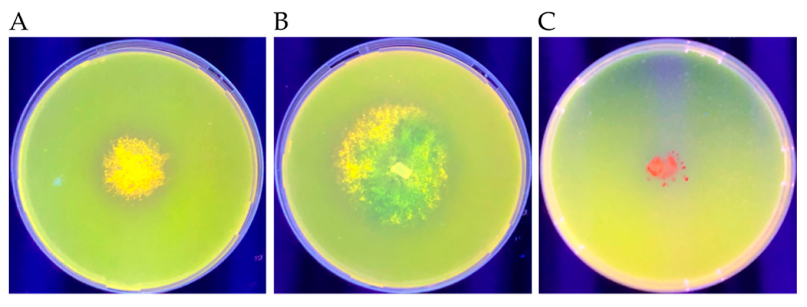 Microorganisms 09 01167 g006 Microorganisms 09 01167 g006