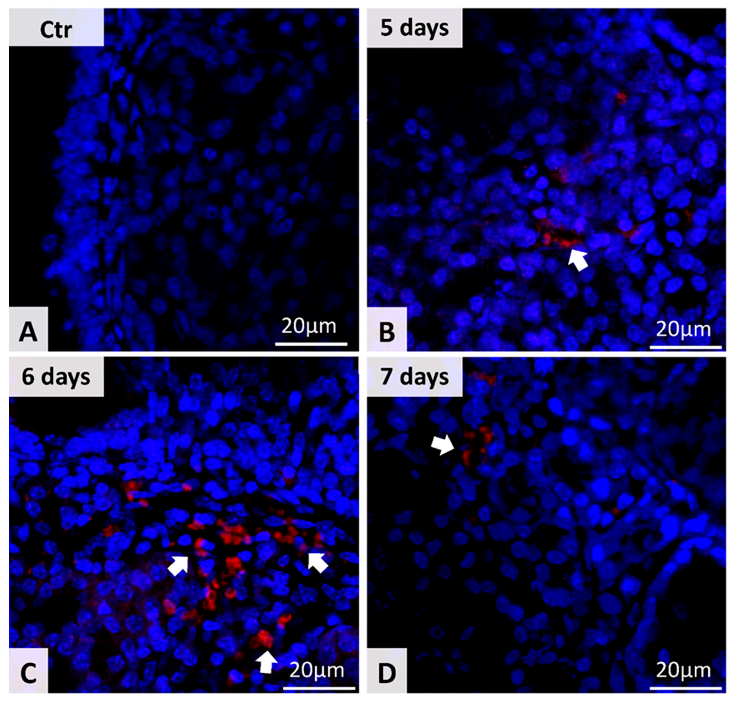 Microorganisms 09 01182 g002 Microorganisms 09 01182 g002