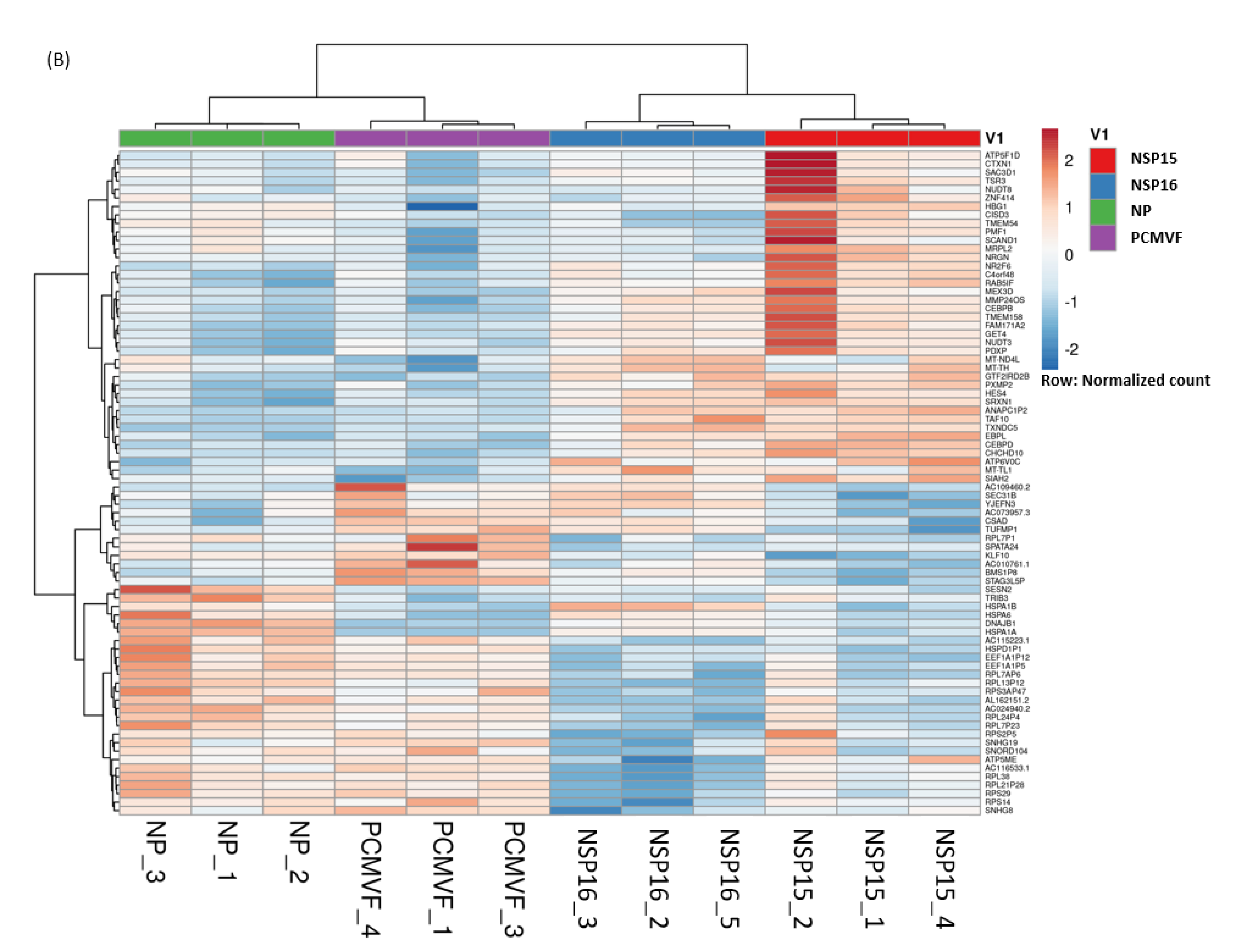 Microorganisms Free Full Text Comparative Transcriptomic And Molecular Pathway Analyses Of Hl Cz Human Pro Monocytic Cells Expressing Sars Cov 2 Spike S1 S2 Np Nsp15 And Nsp16 Genes Html