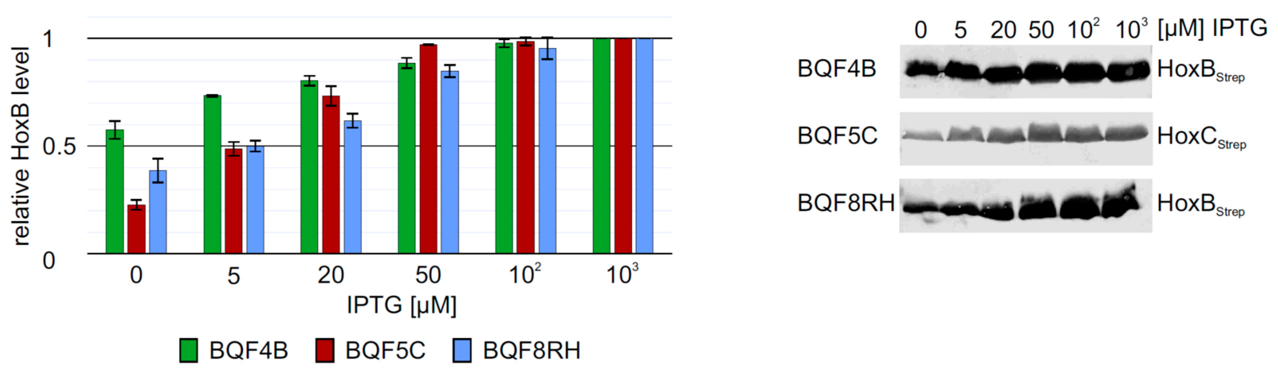 Microorganisms 09 01195 g002 Microorganisms 09 01195 g002