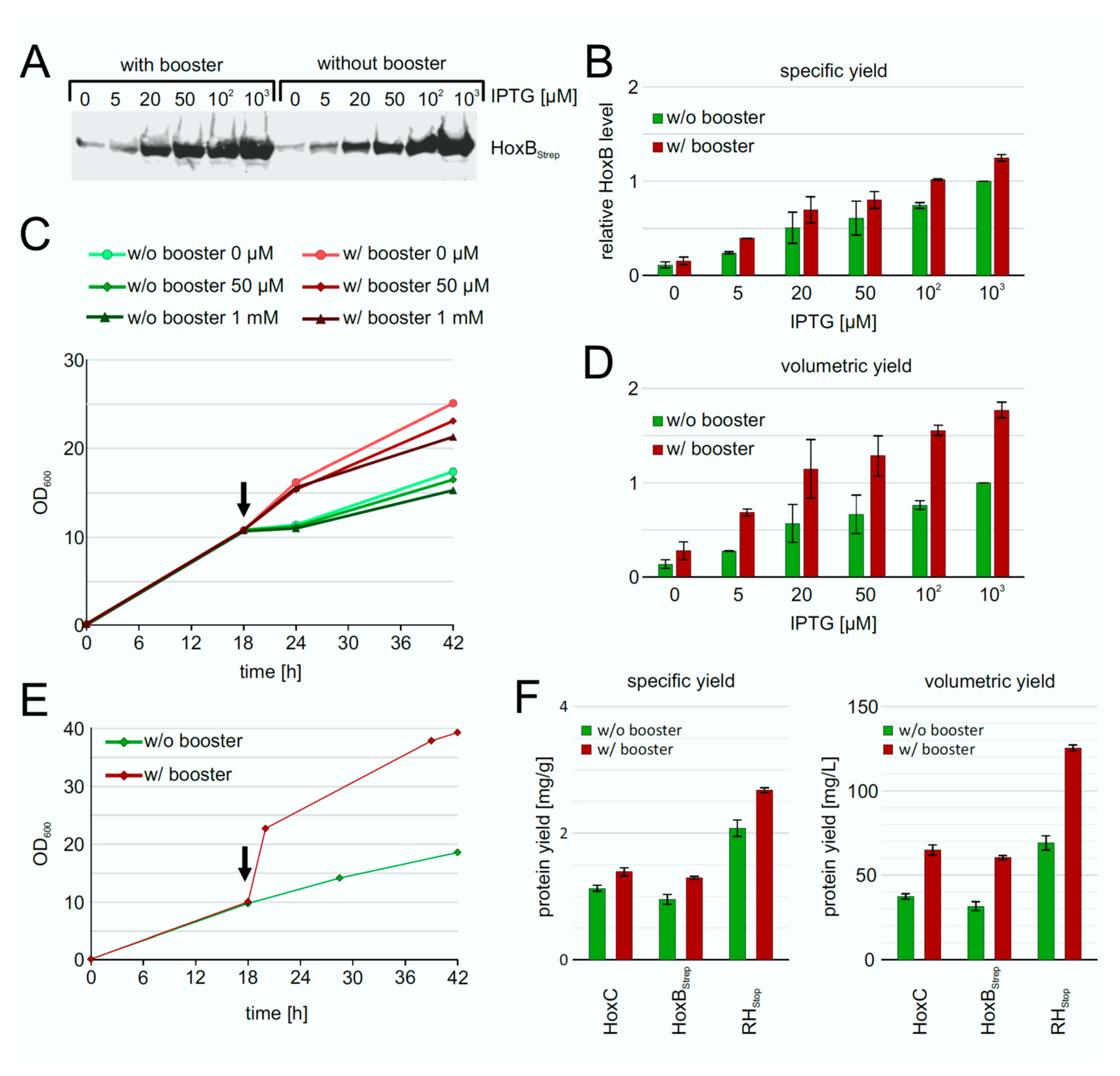 Microorganisms 09 01195 g005 Microorganisms 09 01195 g005