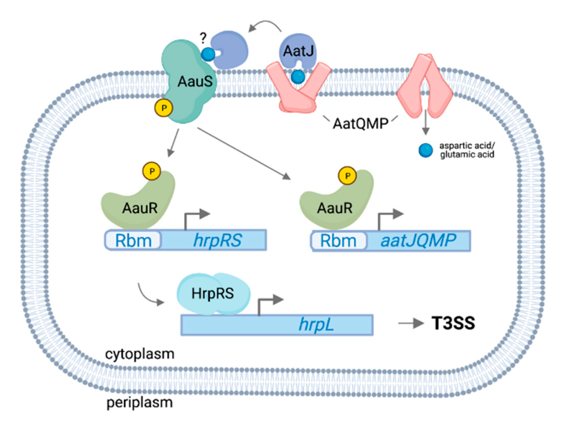 Microorganisms 09 01227 g002