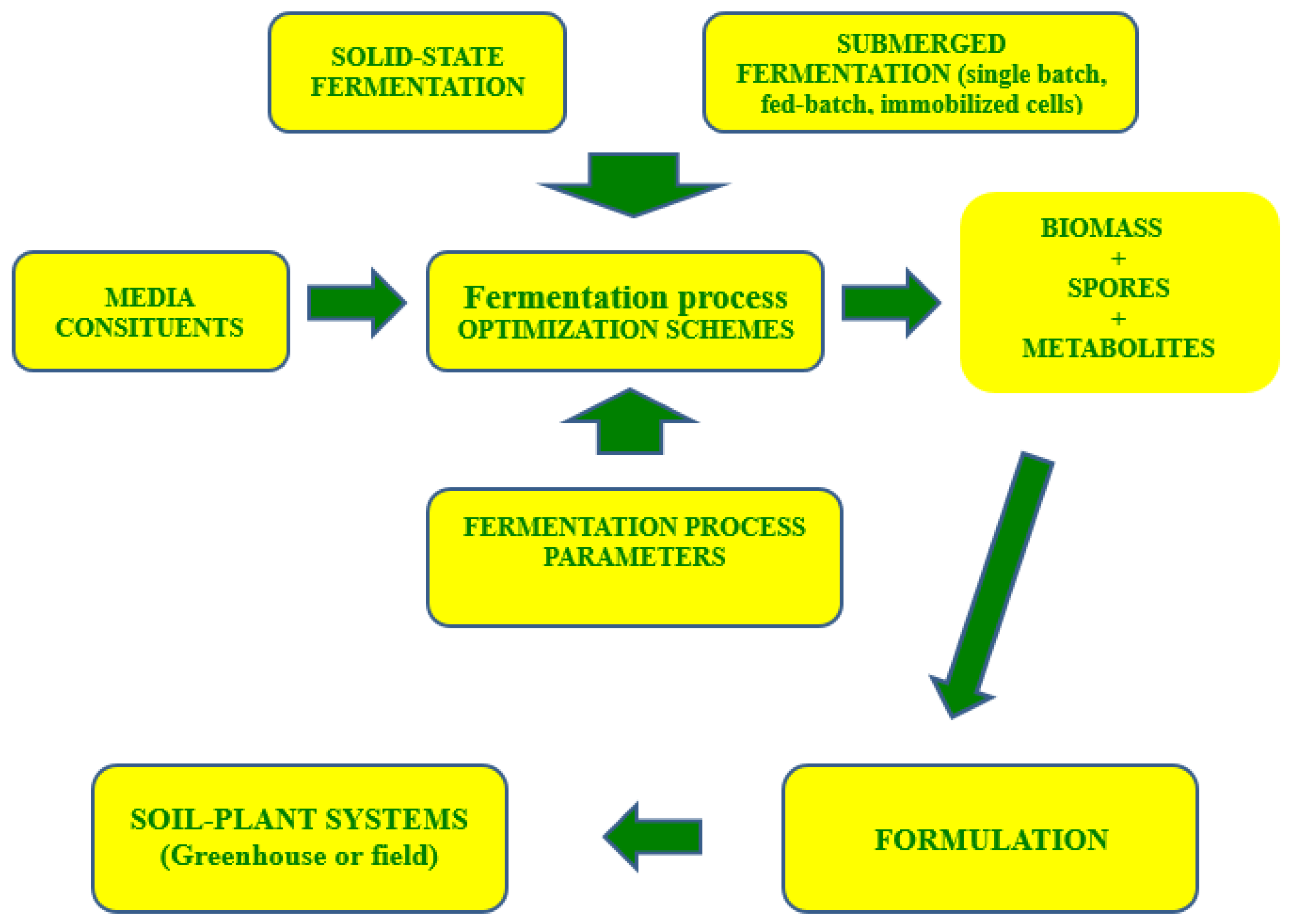 Microorganisms | Free Full-Text | Fermentation Strategies to Improve Soil  Bio-Inoculant Production and Quality