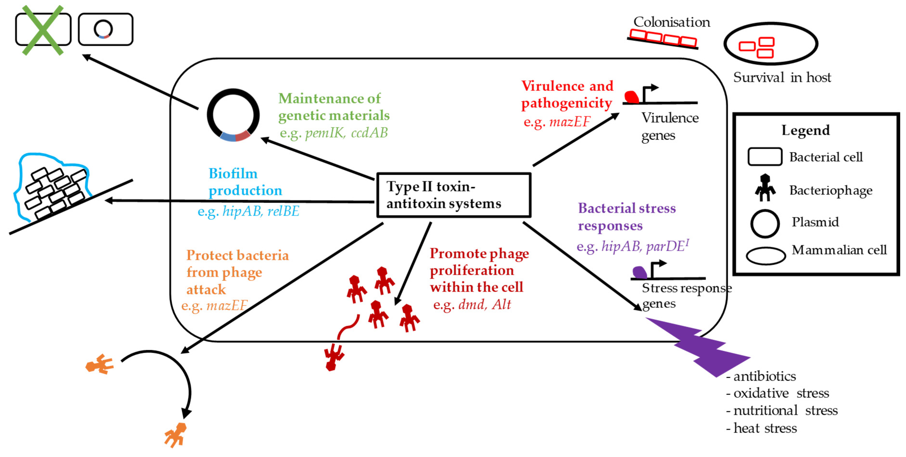 Microorganisms 09 01276 g002