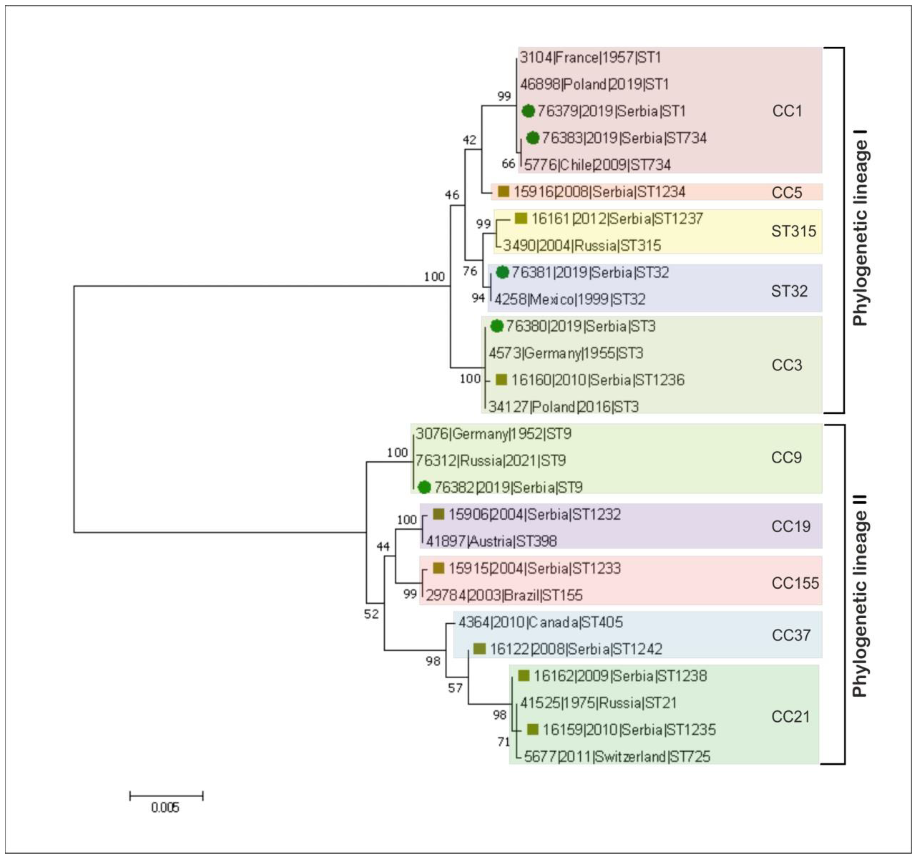 Microorganisms 09 01289 g002
