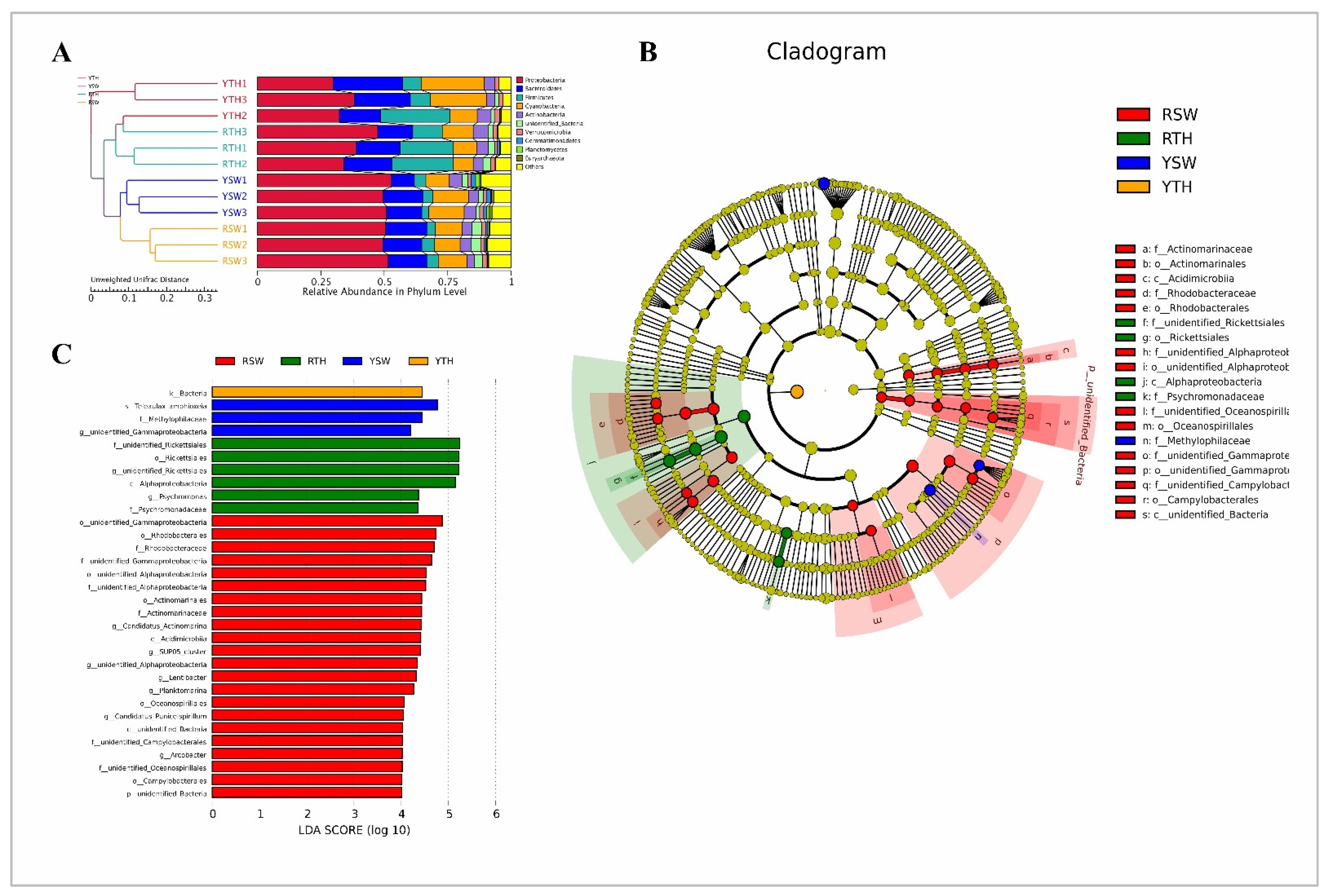 Microorganisms 09 01291 g004