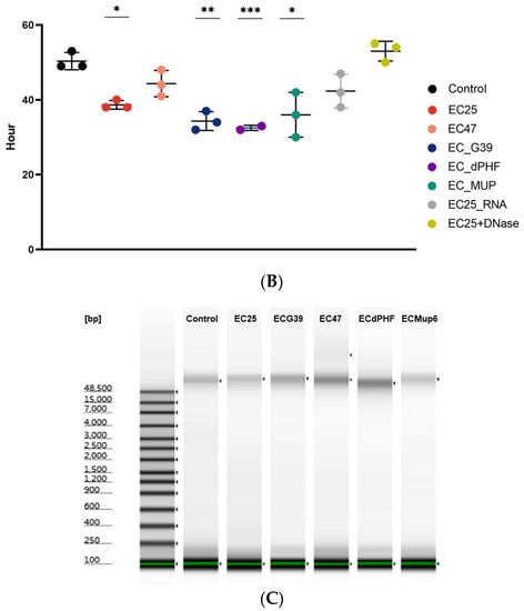 Microorganisms | Free Full-Text | Bacterial Extracellular DNA Promotes ...