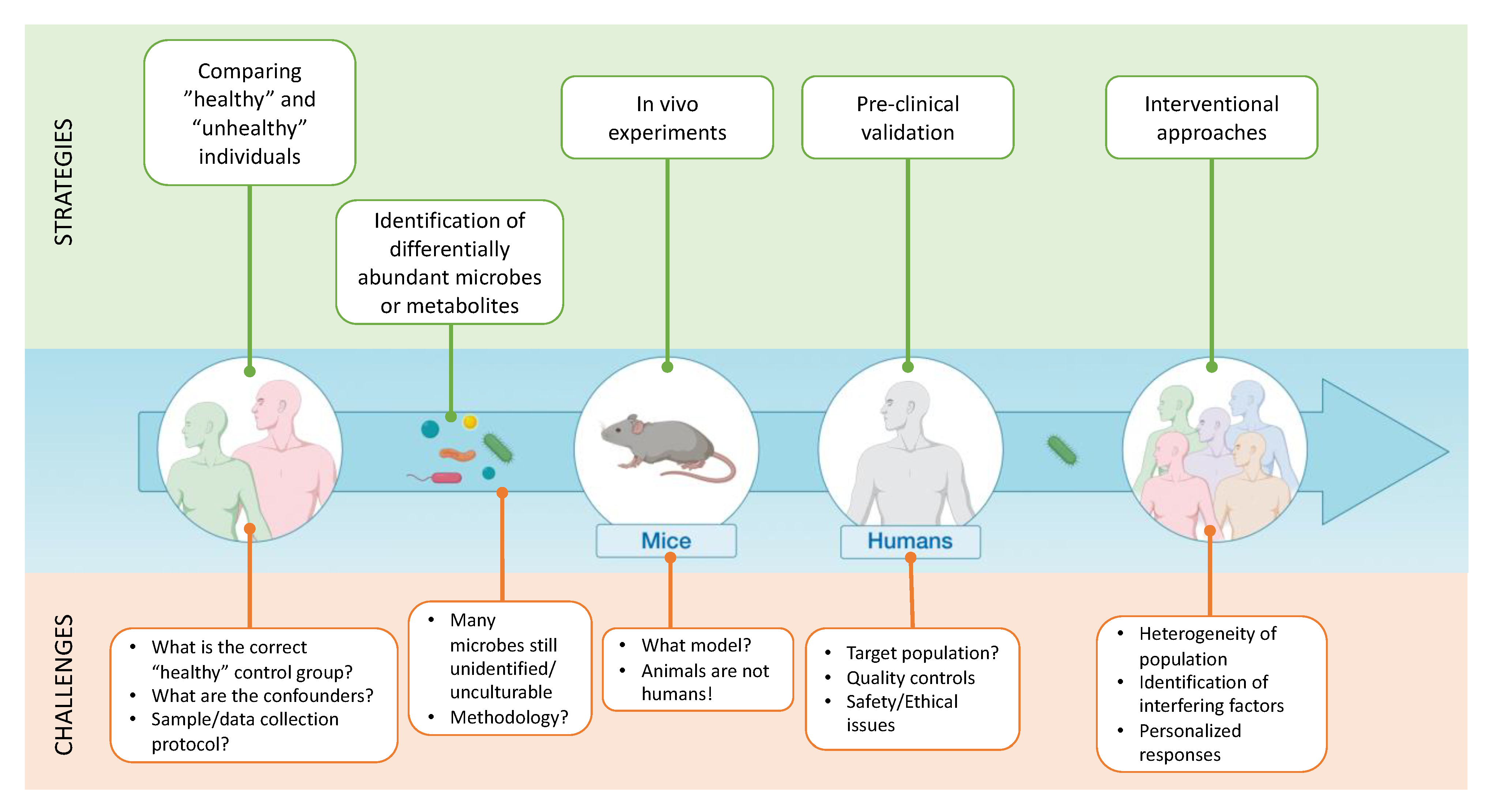 Microorganisms 09 01302 g003