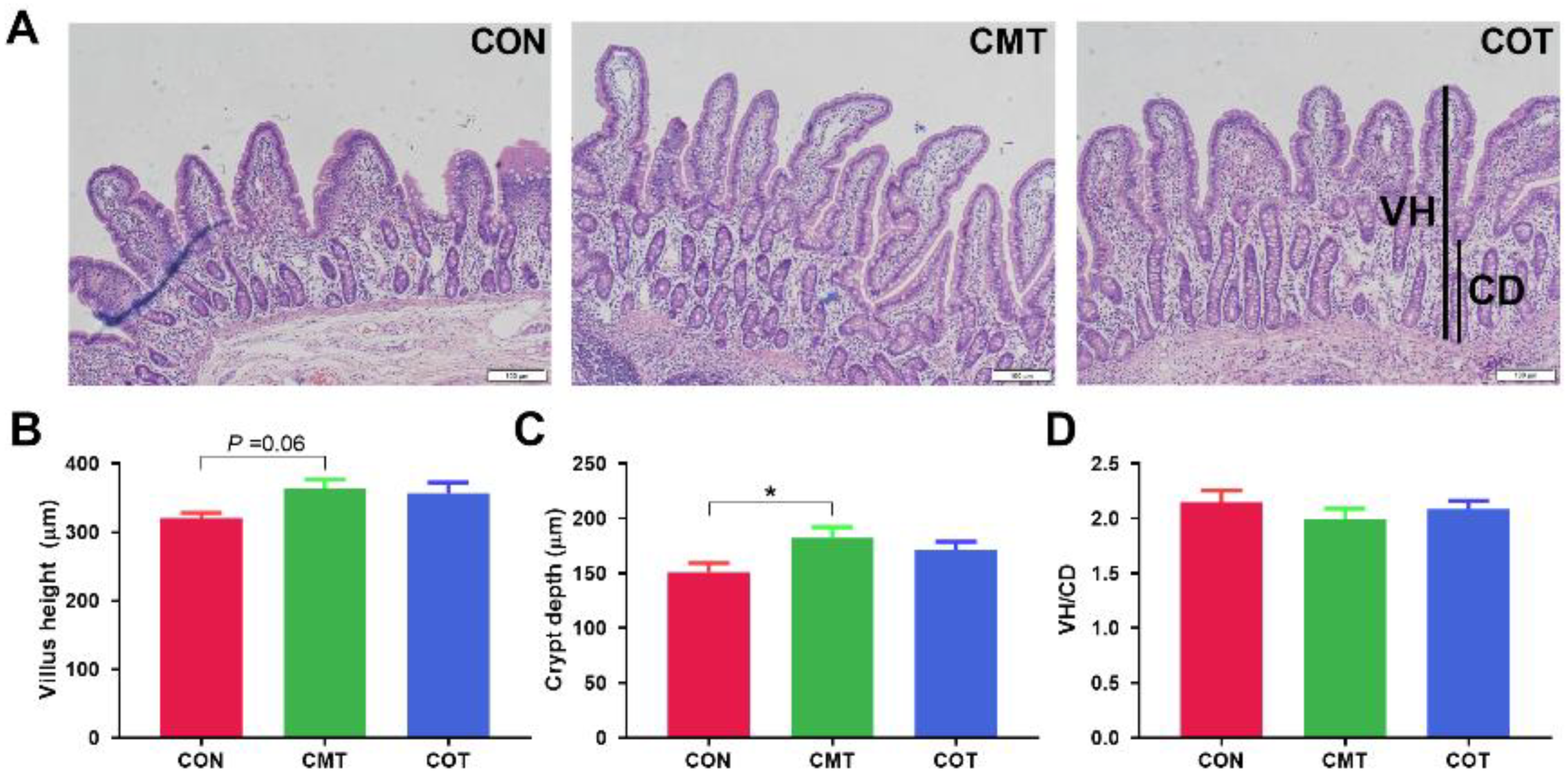 Microorganisms 09 01342 g003