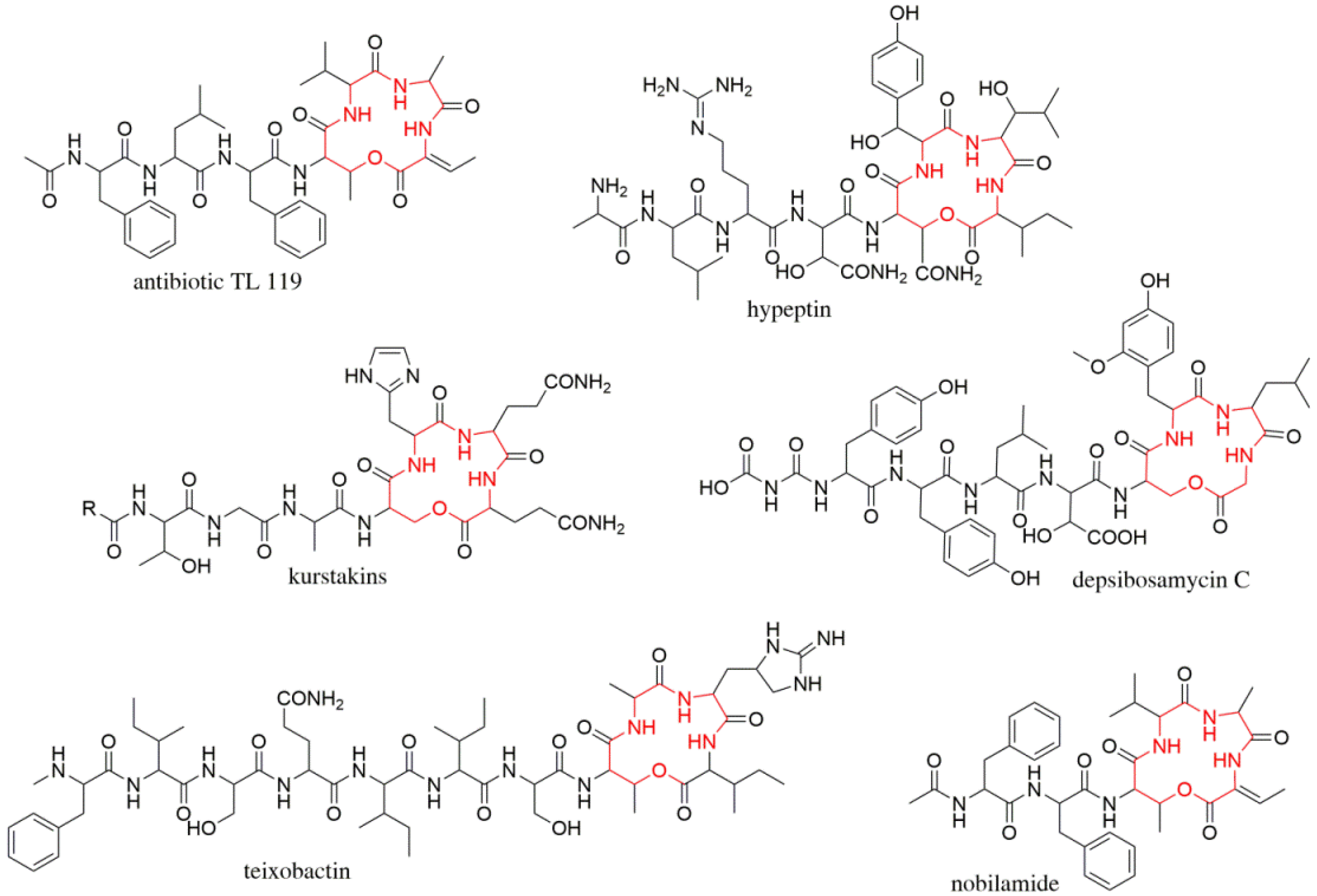Microorganisms 09 01396 g001