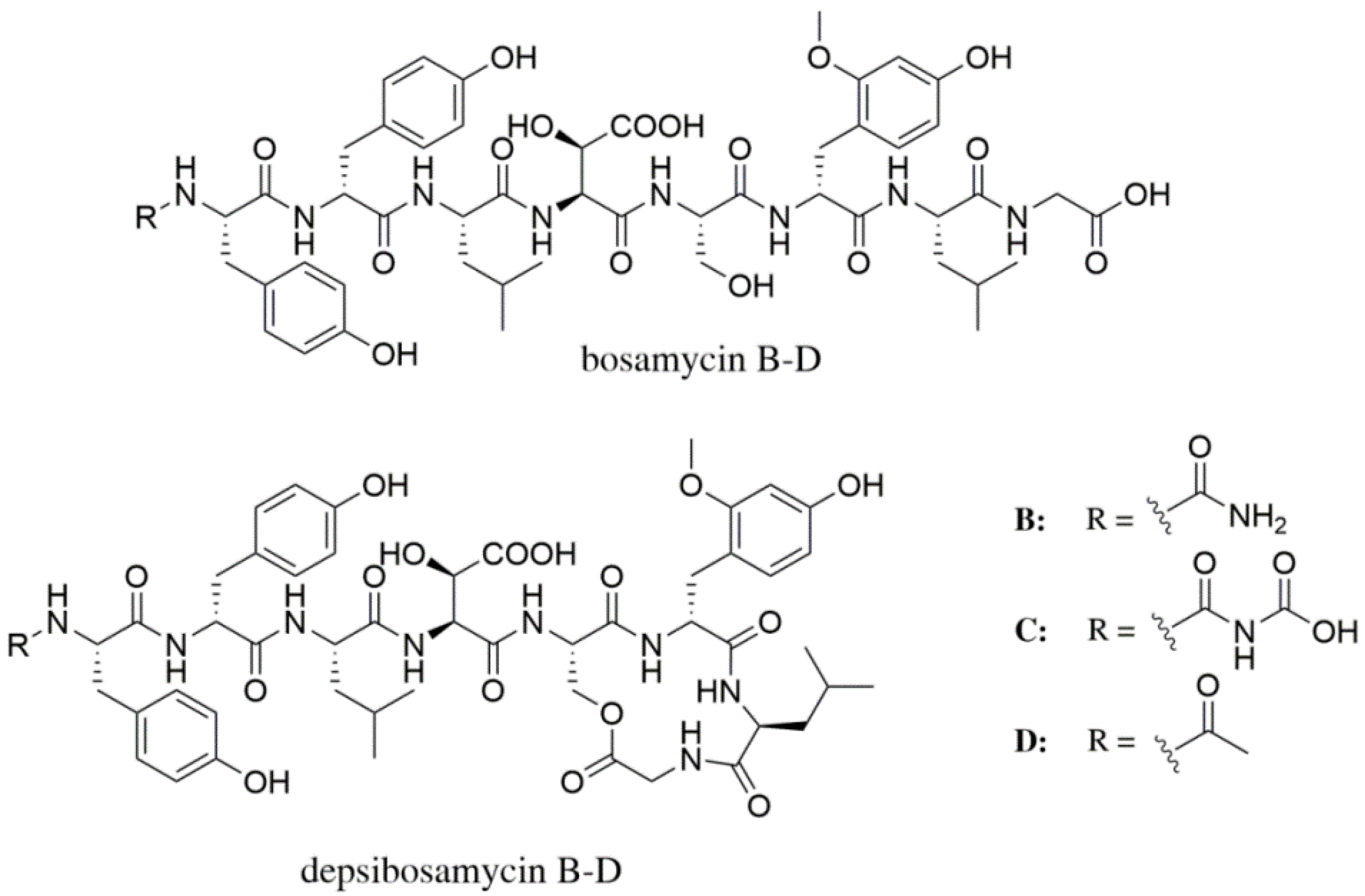 Microorganisms 09 01396 g003