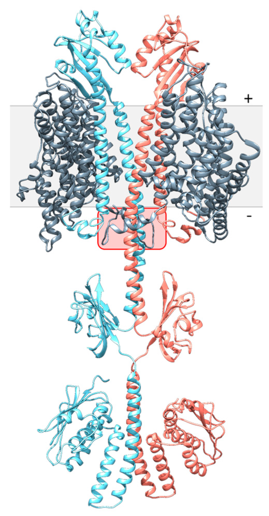 Microorganisms 09 01397 g003 Microorganisms 09 01397 g003