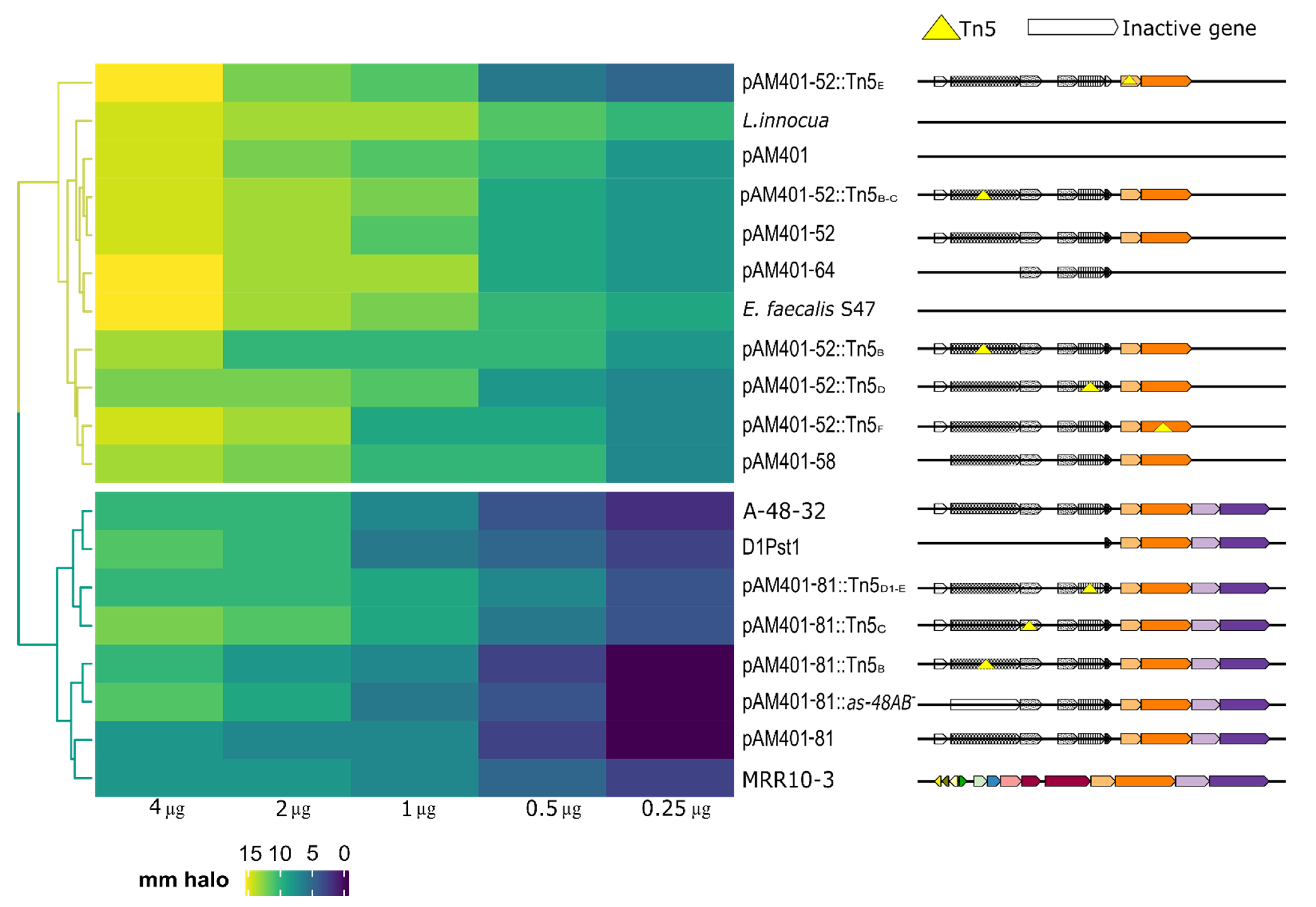 Microorganisms 09 01411 g004