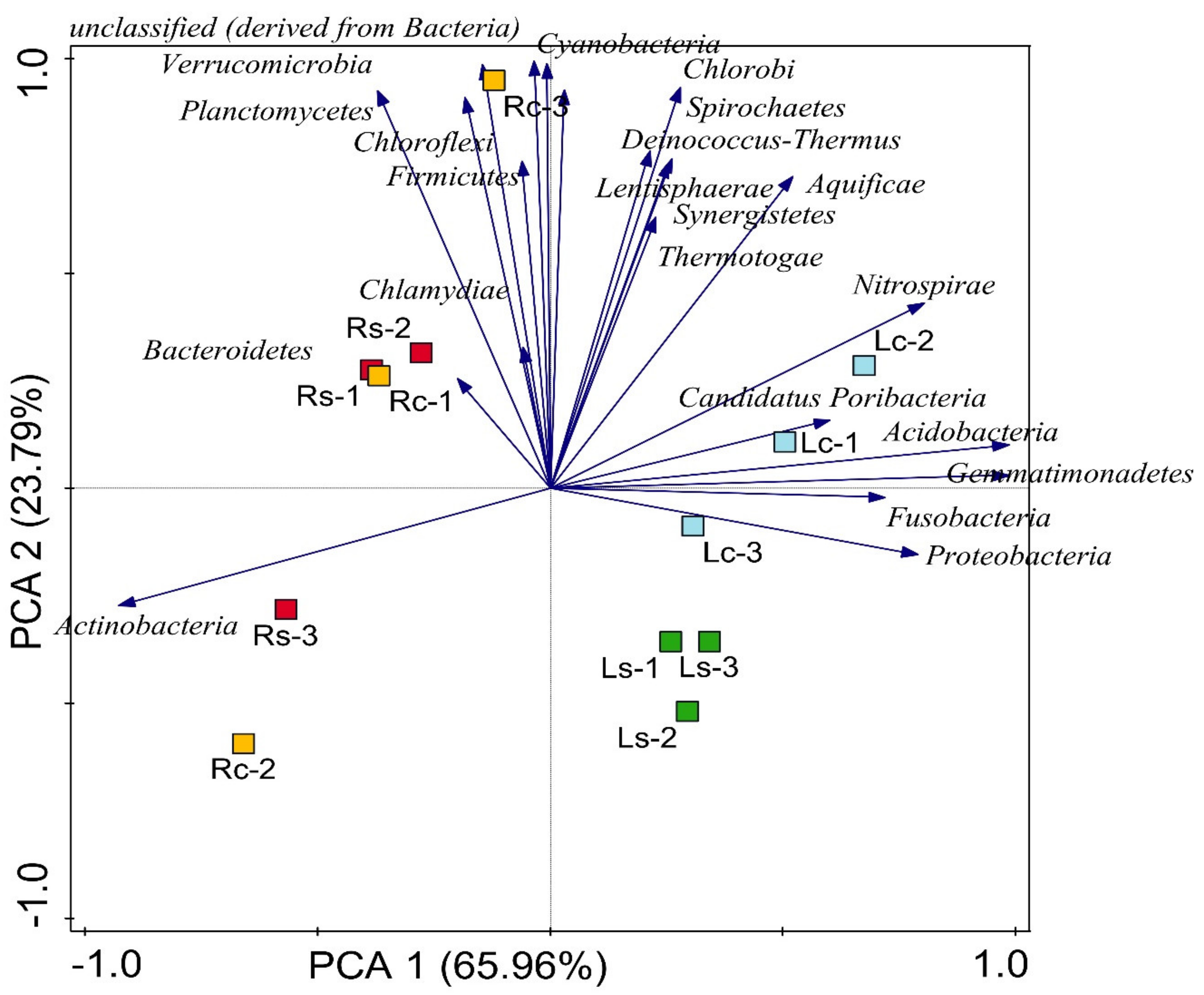 Microorganisms 09 01419 g002