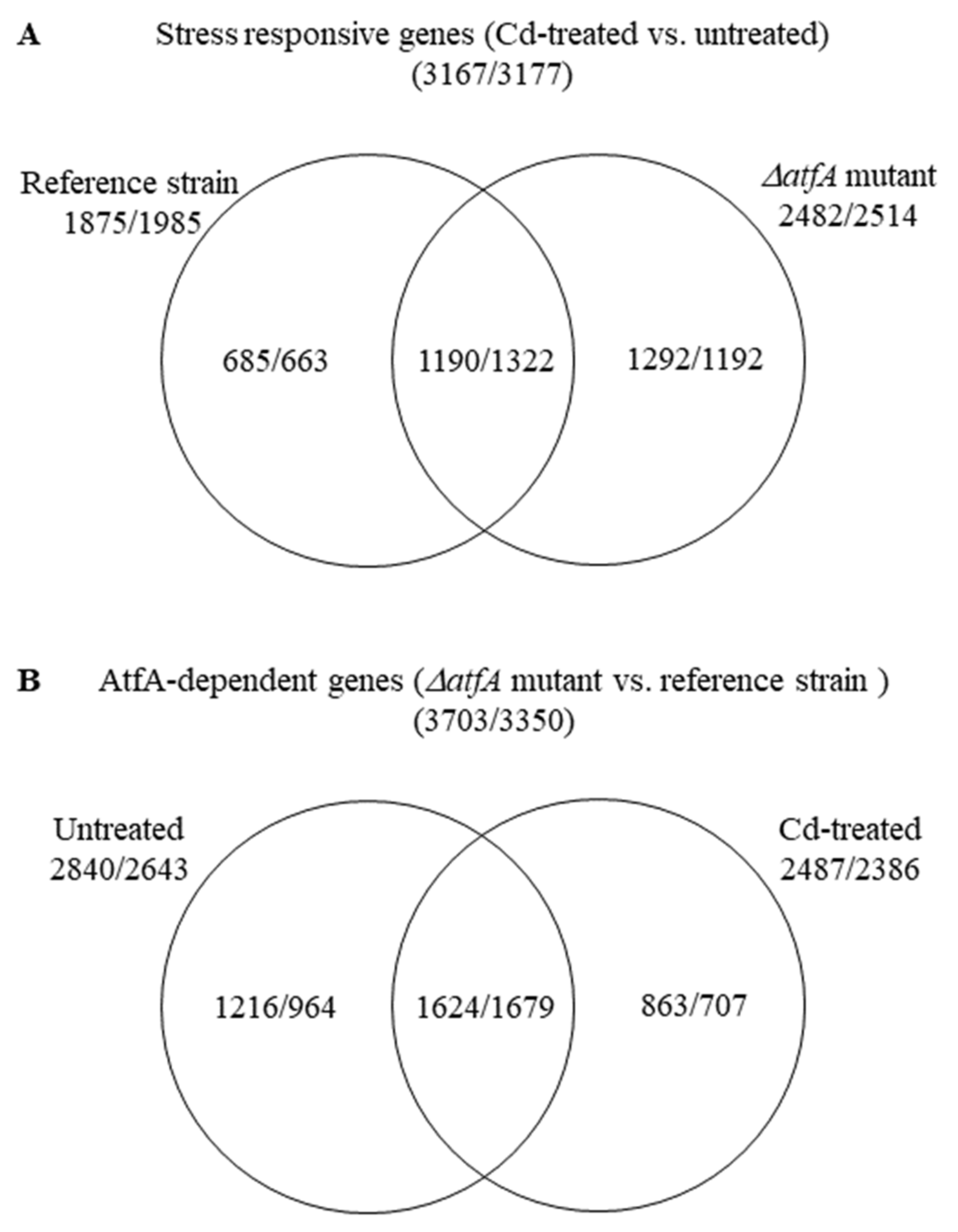 Microorganisms 09 01433 g002