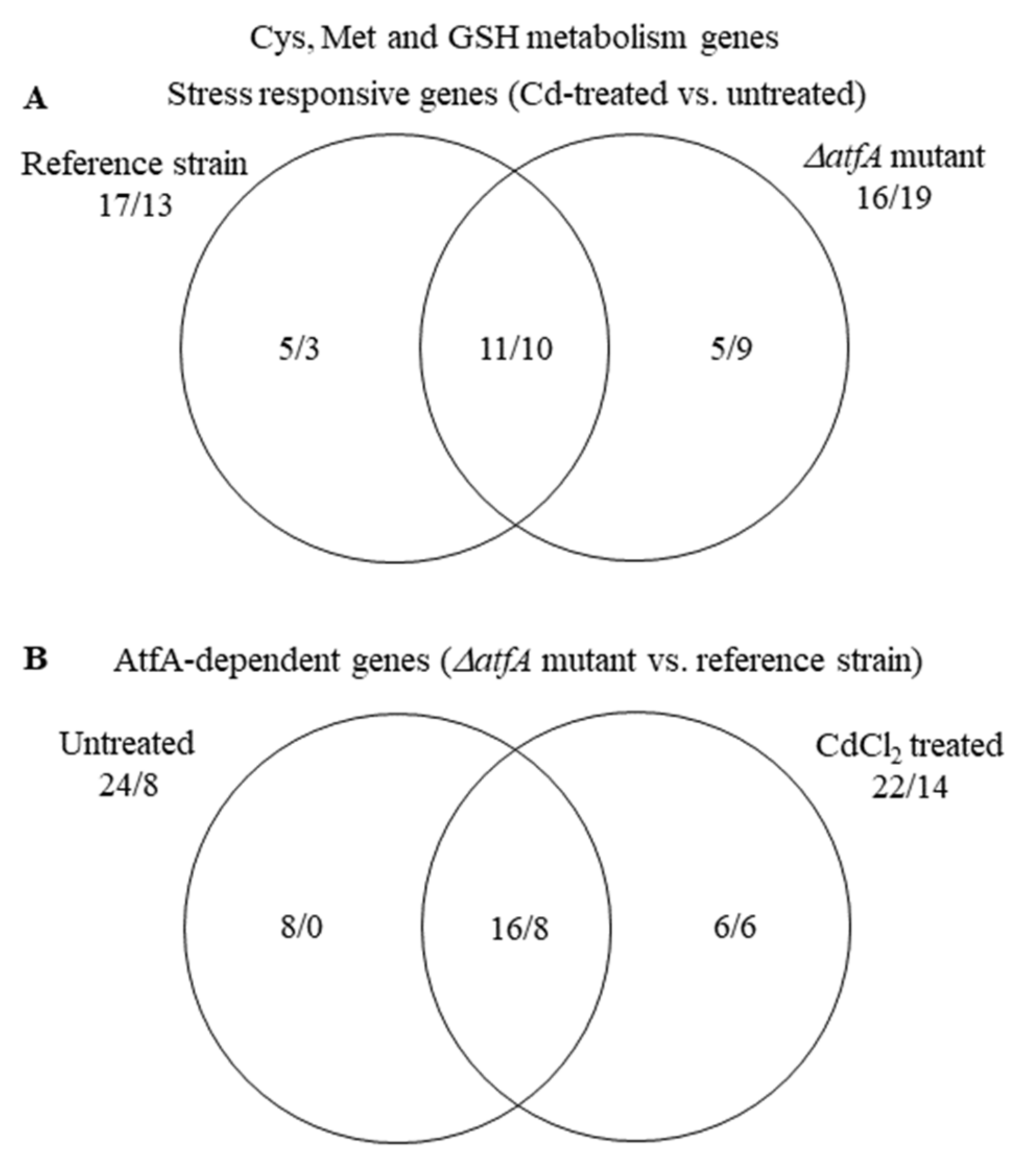 Microorganisms 09 01433 g004