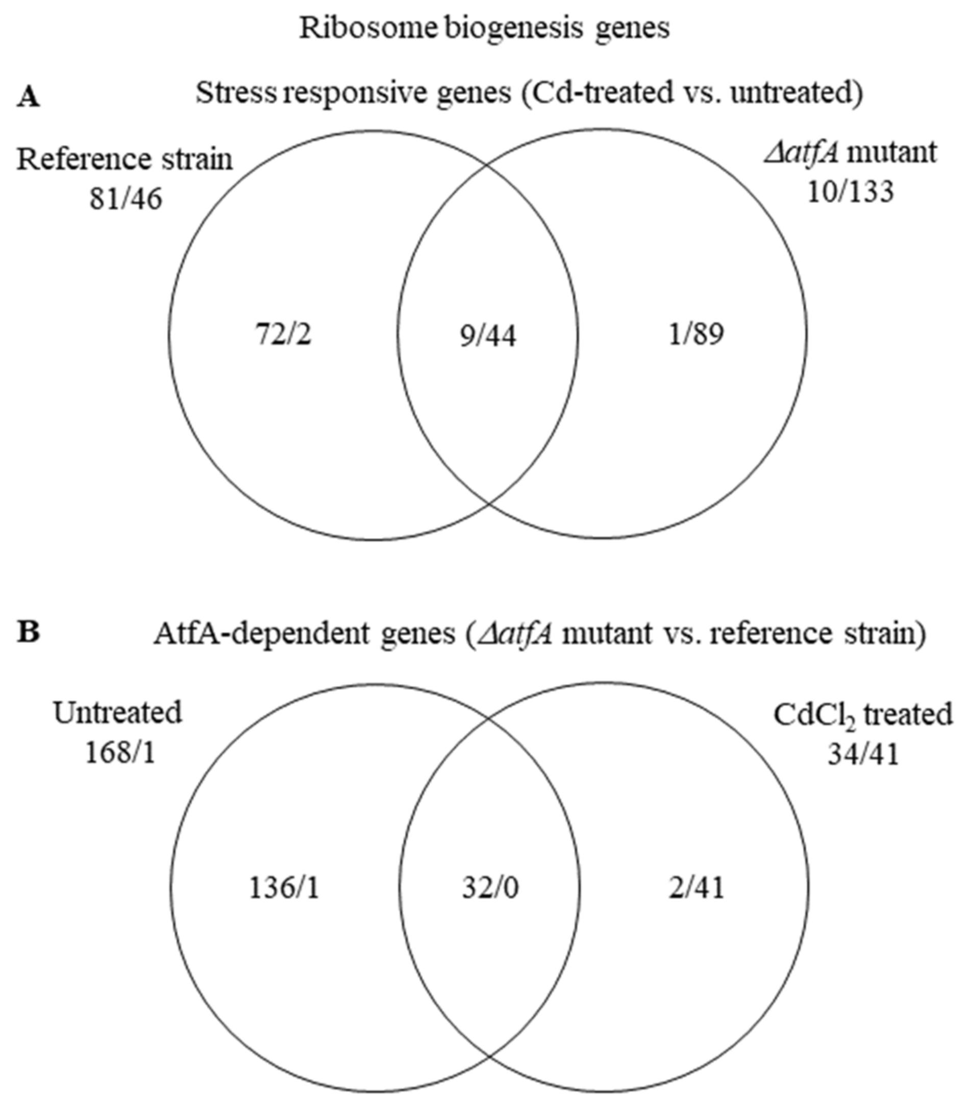 Microorganisms 09 01433 g005