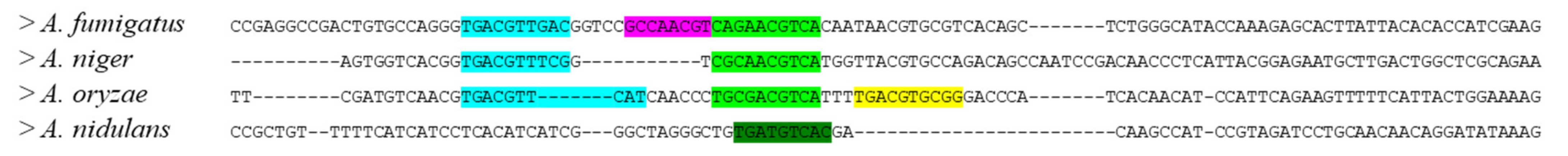 Microorganisms 09 01433 g007