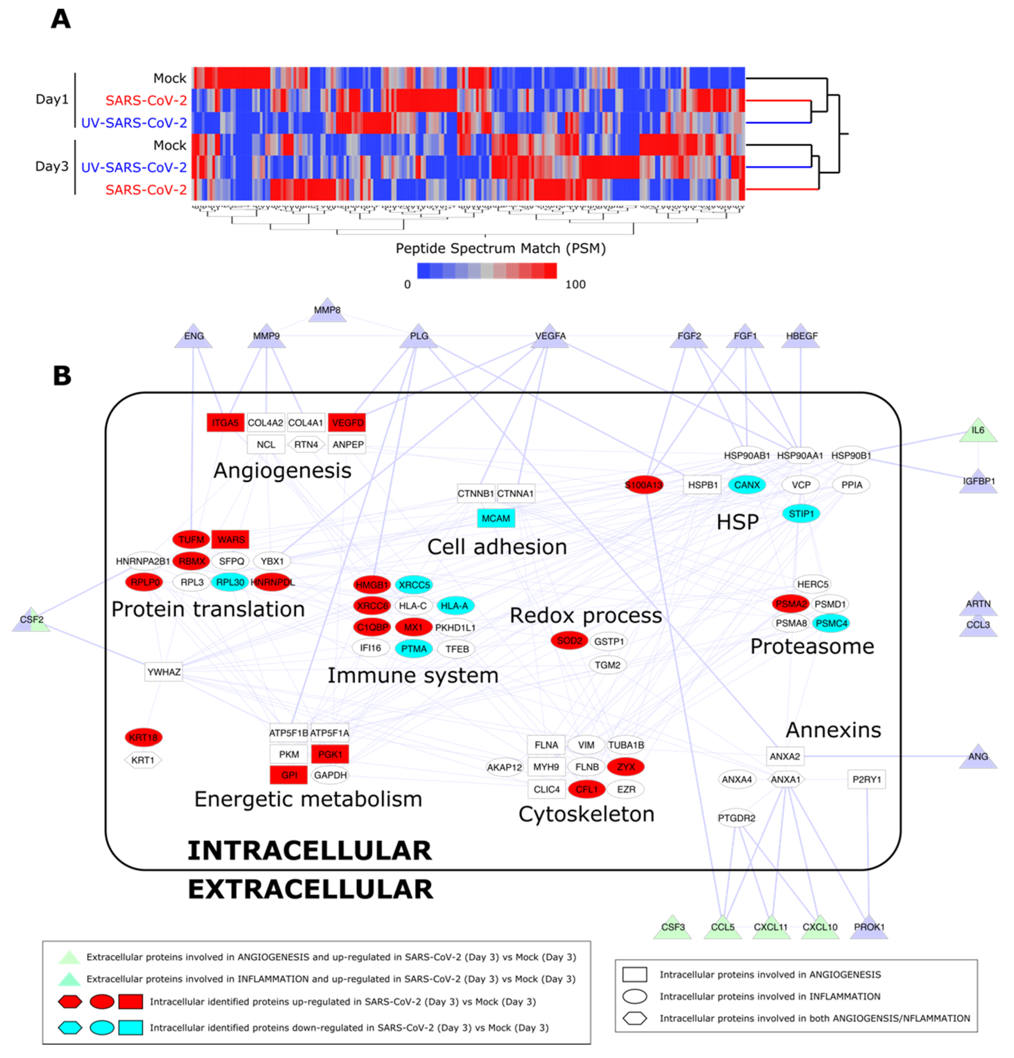 Microorganisms 09 01438 g005