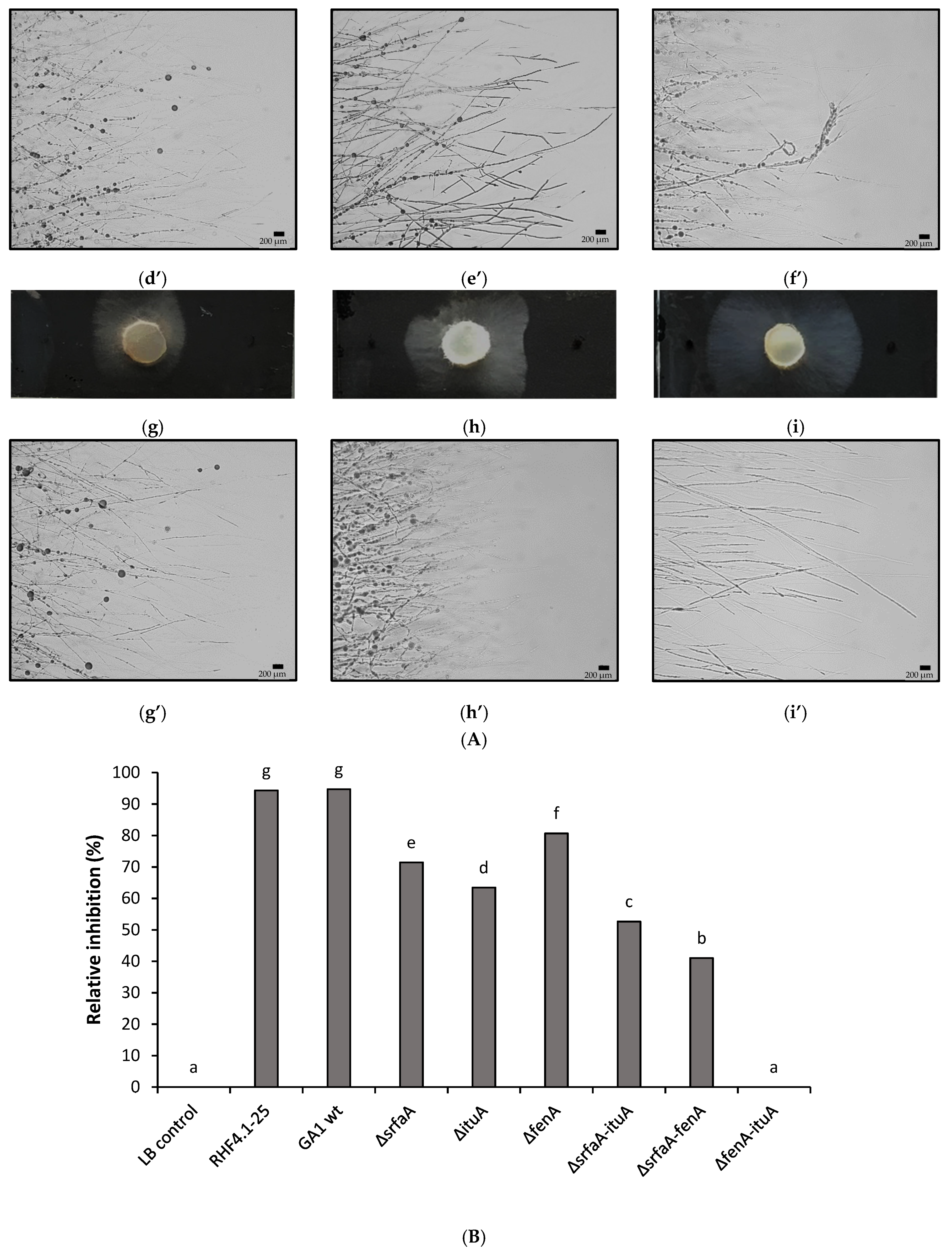 Microorganisms 09 01441 g007b