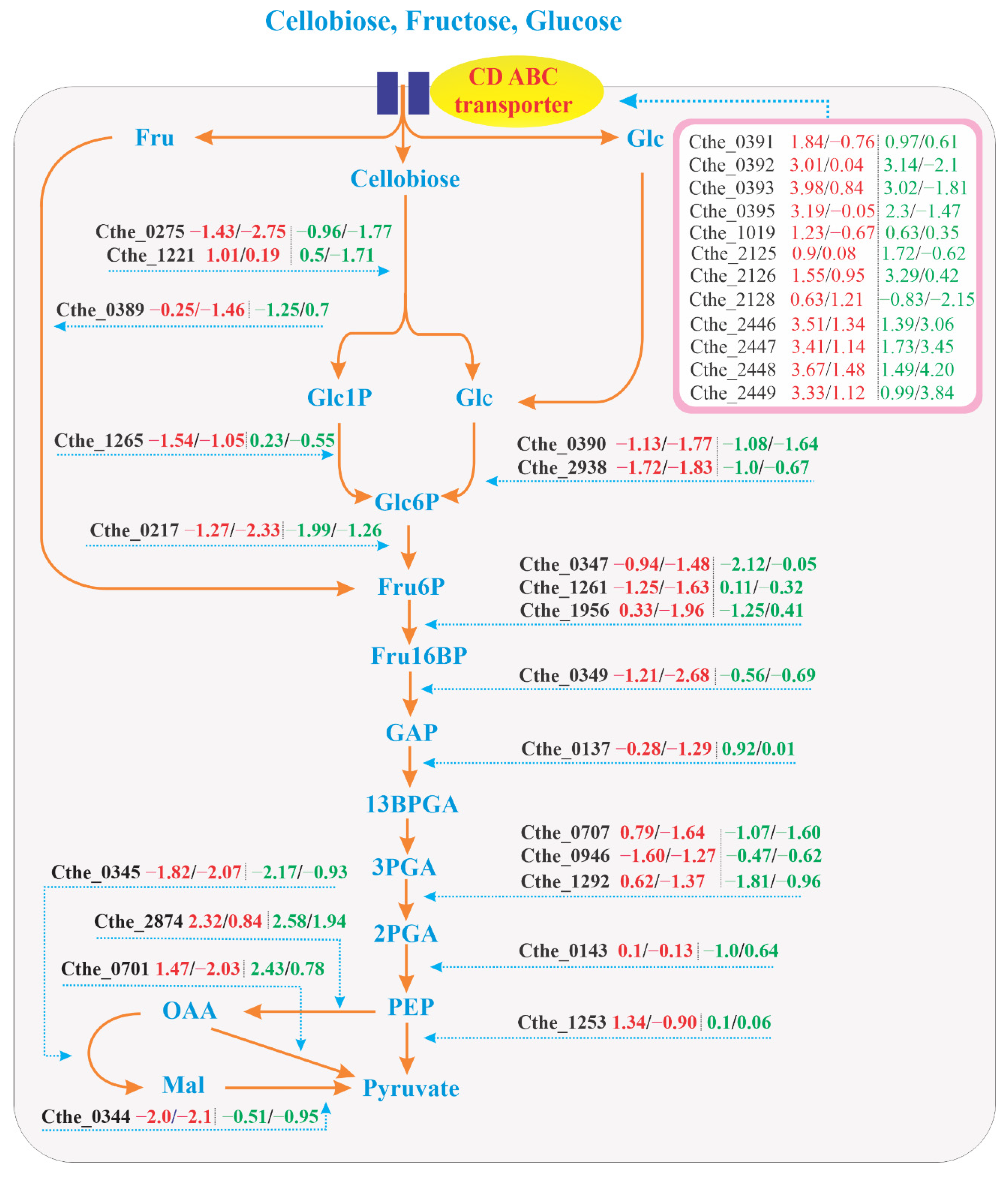 Microorganisms 09 01445 g004