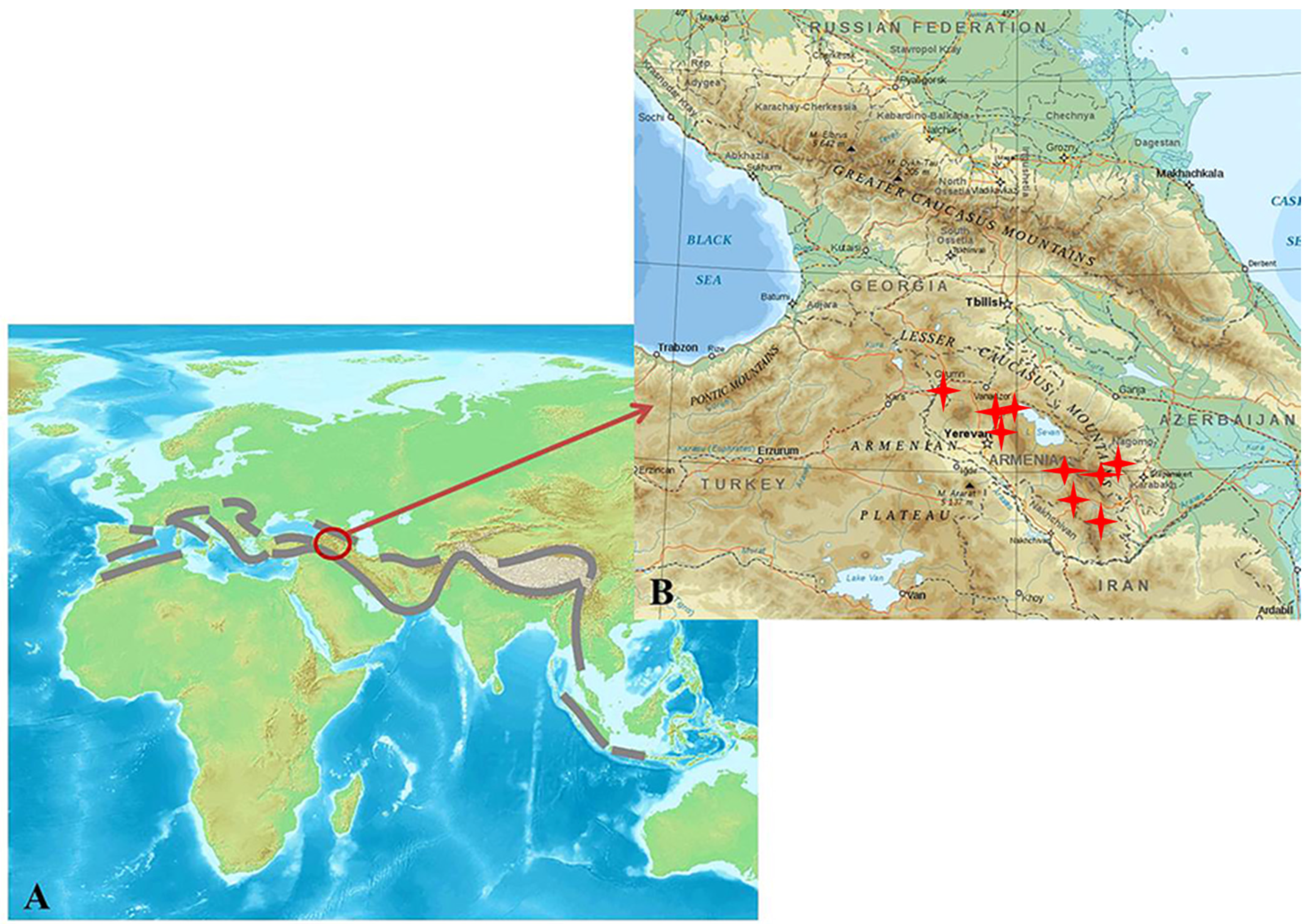 Microorganisms | Free Full-Text | Microbial Diversity of Terrestrial  Geothermal Springs in Armenia and Nagorno-Karabakh: A Review | HTML