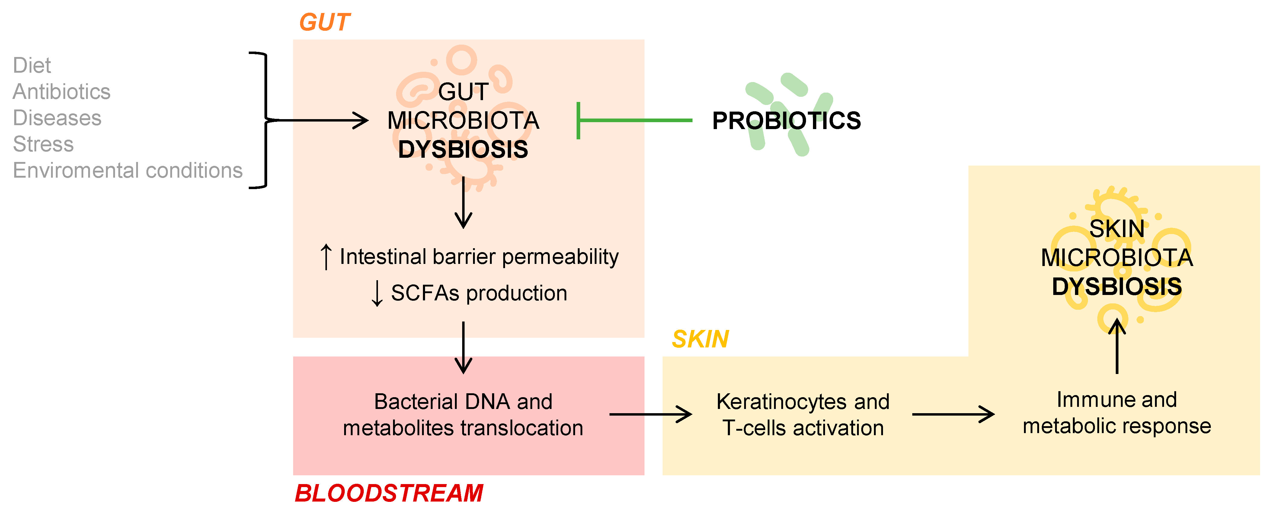 Microorganisms | Free Full-Text | Probiotics in the Therapeutic Arsenal of  Dermatologists