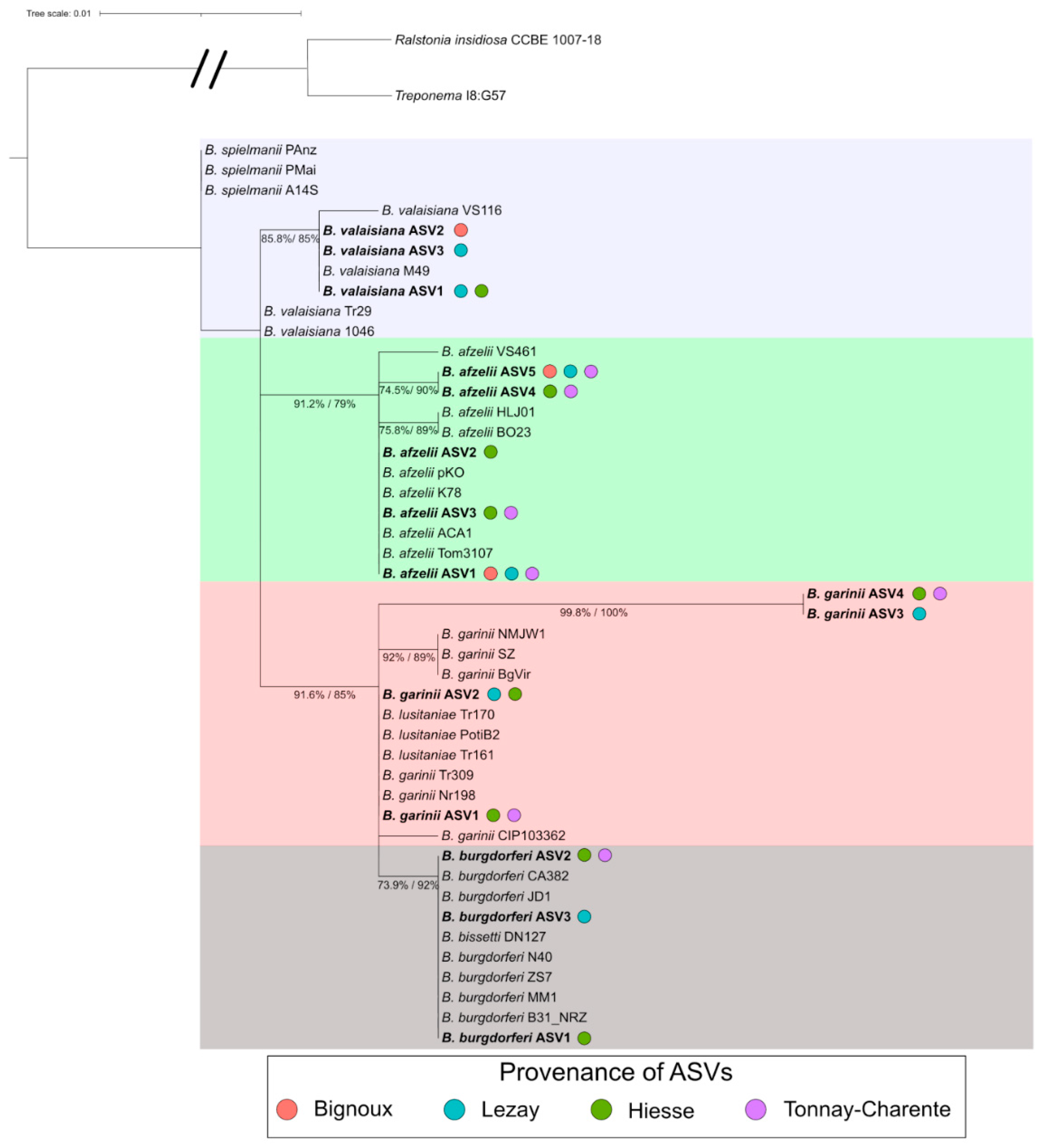 Microorganisms 09 01526 g005