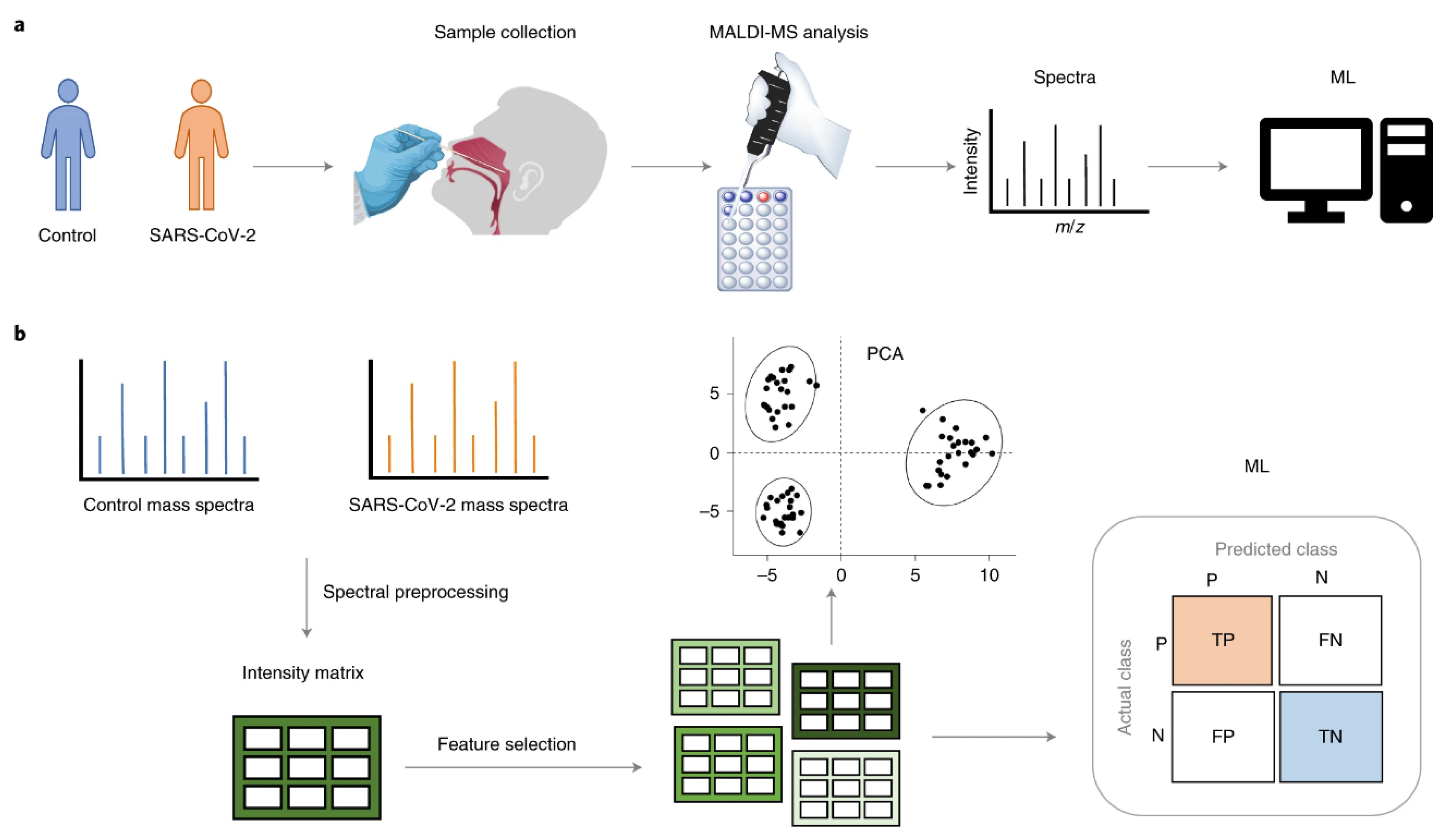 Microorganisms 09 01539 g003 Microorganisms 09 01539 g003