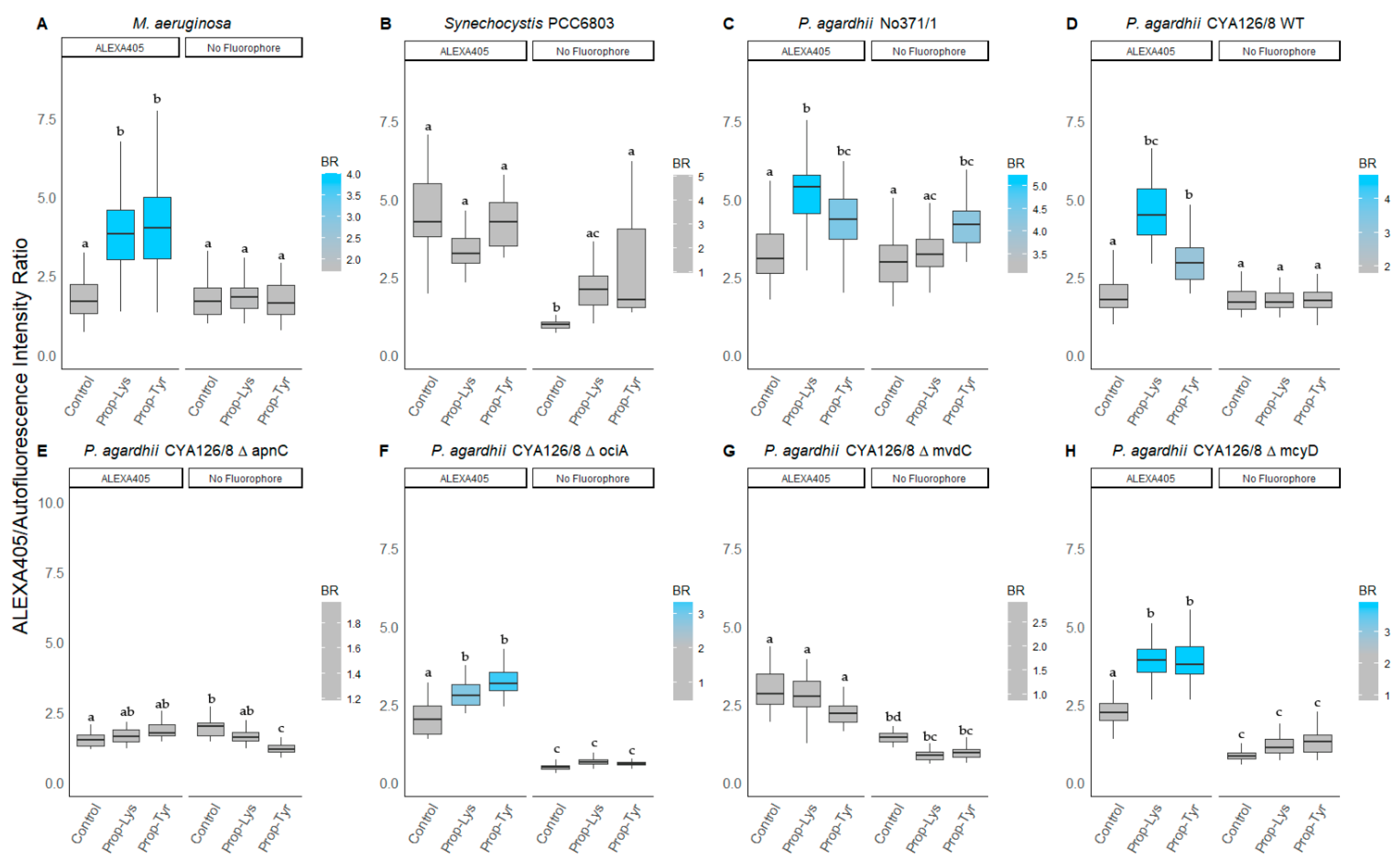 Microorganisms 09 01578 g004 Microorganisms 09 01578 g004
