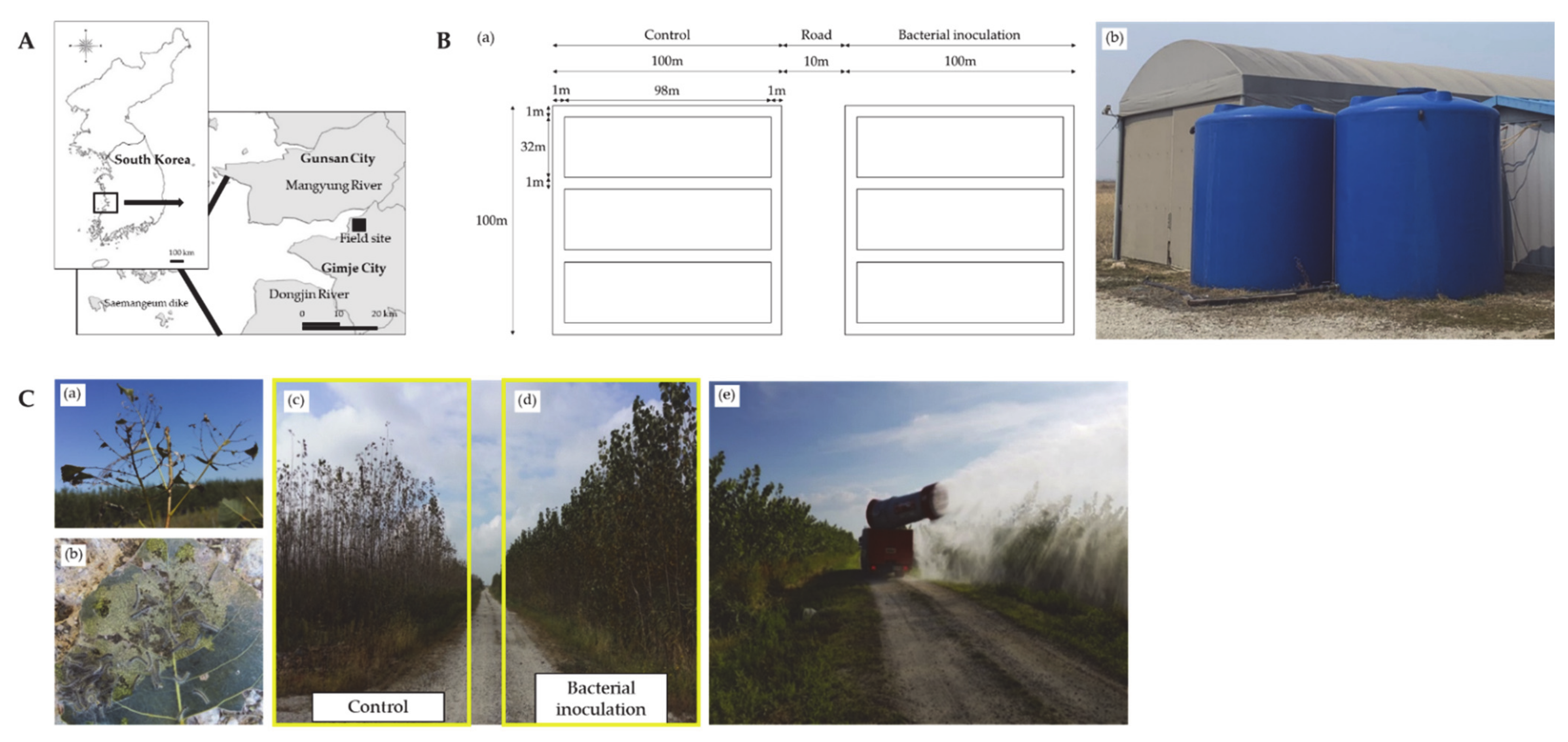 Microorganisms 09 01580 g001