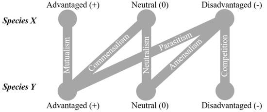 Microorganisms | Free Full-Text | Reviewing Interspecies